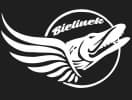 Łowisko Bielinek