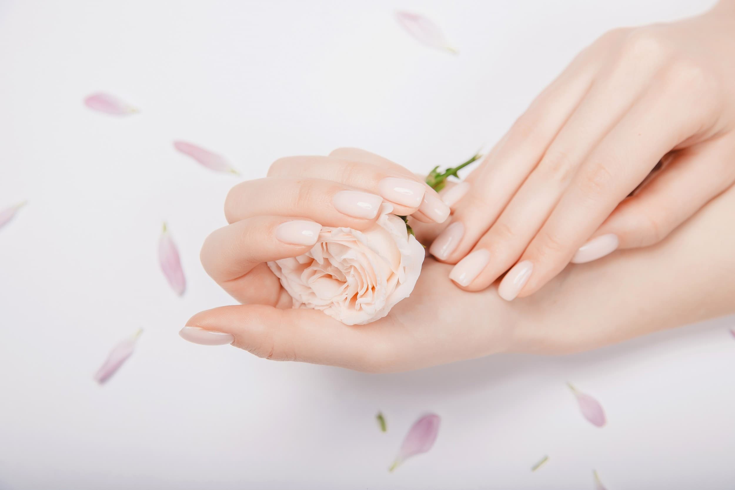 Manicure z Malowaniem | Poznań