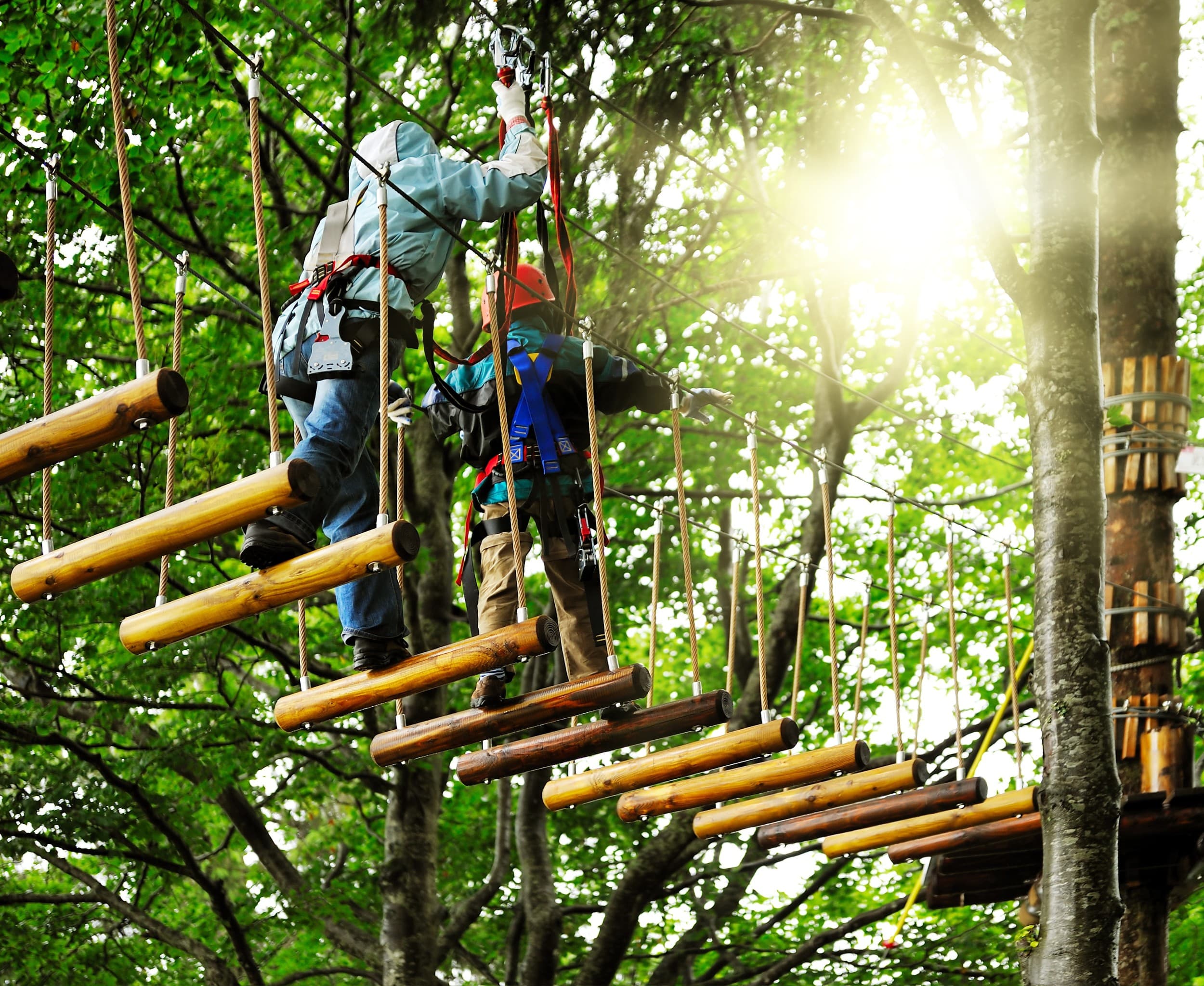 Przygoda w Parku Linowym Adventure Park | Trójmiasto