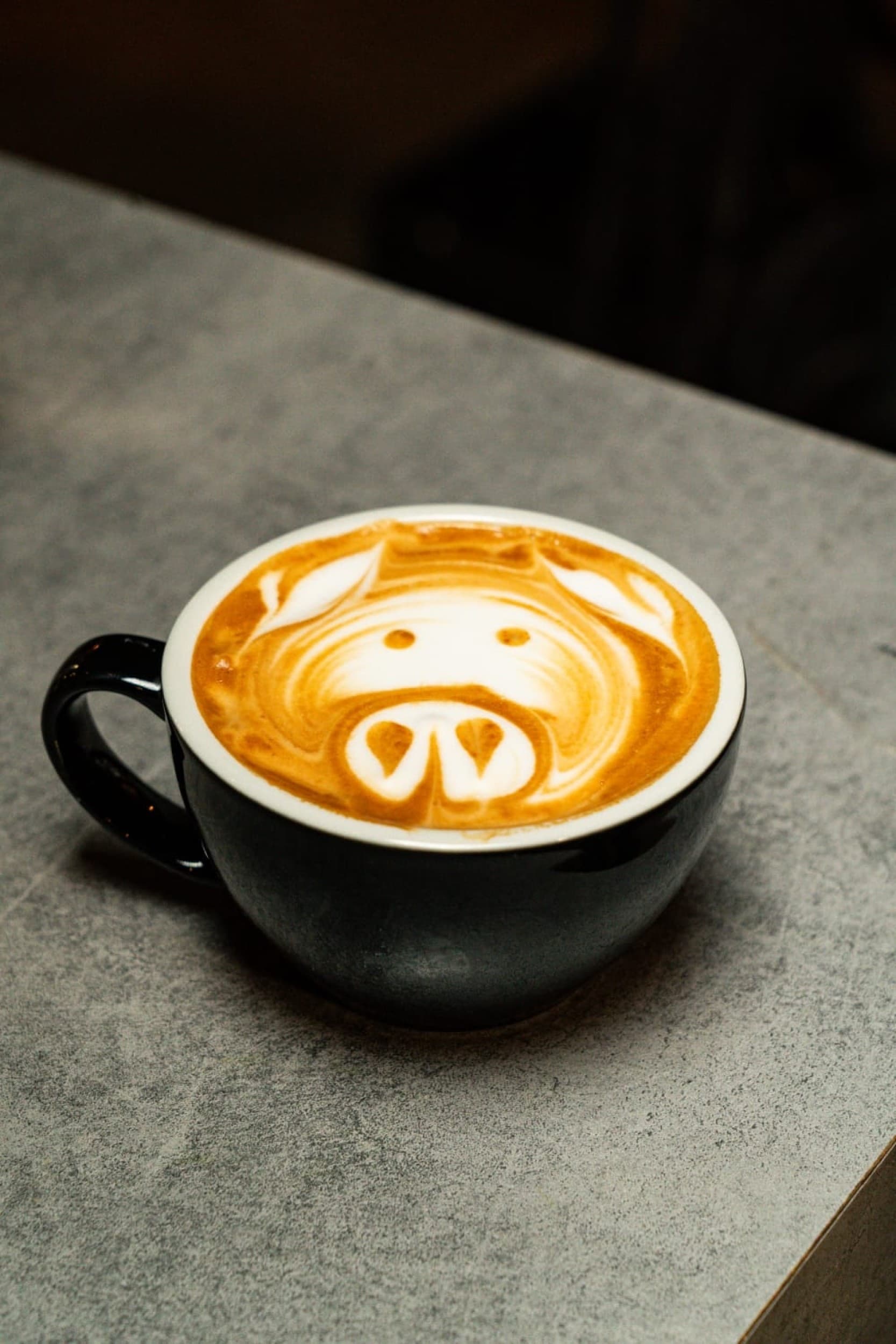 Kurs Domowego Baristy | Kraków | Wyjątkowy Prezent