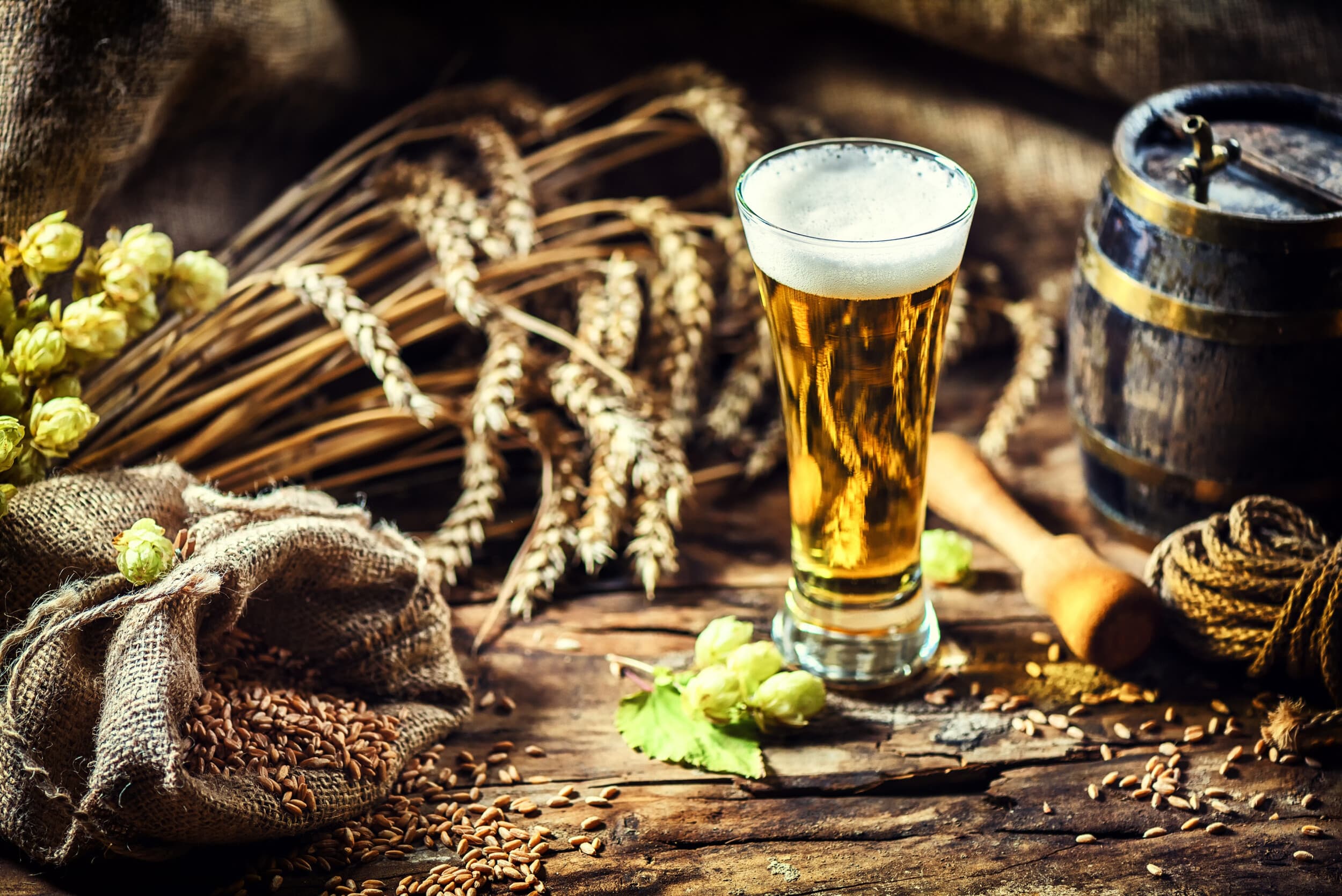 Kurs Kiperski – Degustacja Piwa z Przekąskami | Wiele Lokalizacji