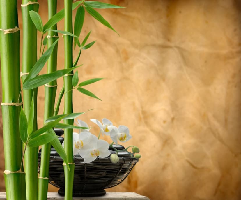 Masaż Pałeczkami Bambusowymi (60 minut) | Lublin