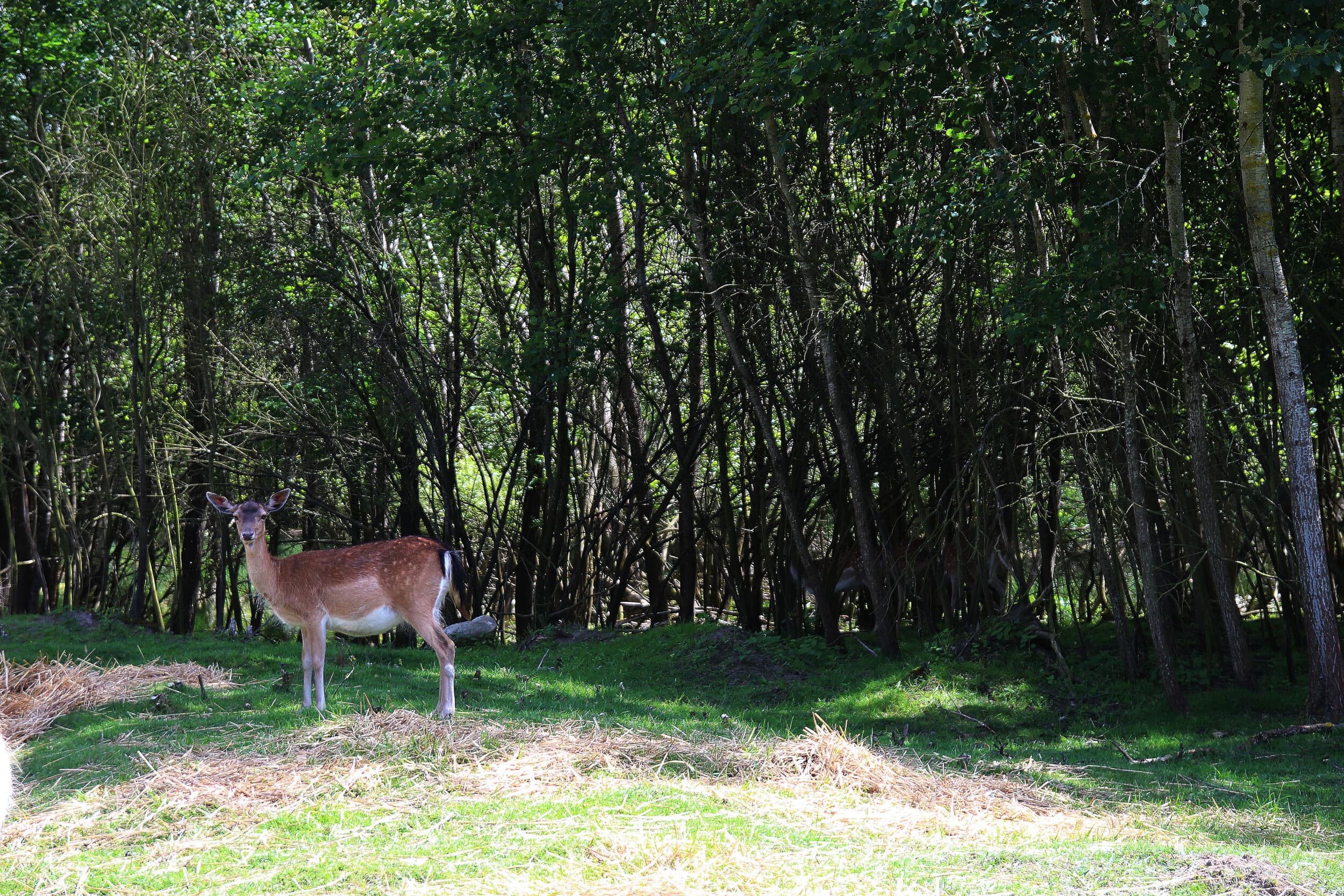Aktywny Weekend dla Dwojga | Pestkownica | Szczecin (okolice)