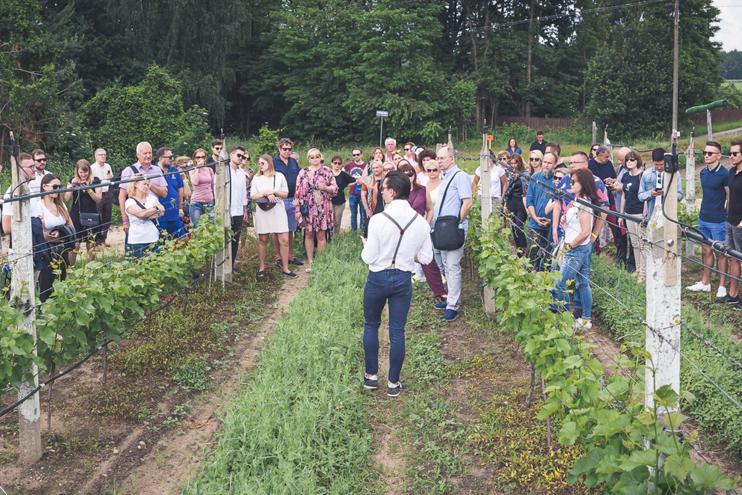 Zwiedzanie Winnicy z Degustacją dla Dwojga | Warszawa (okolice)