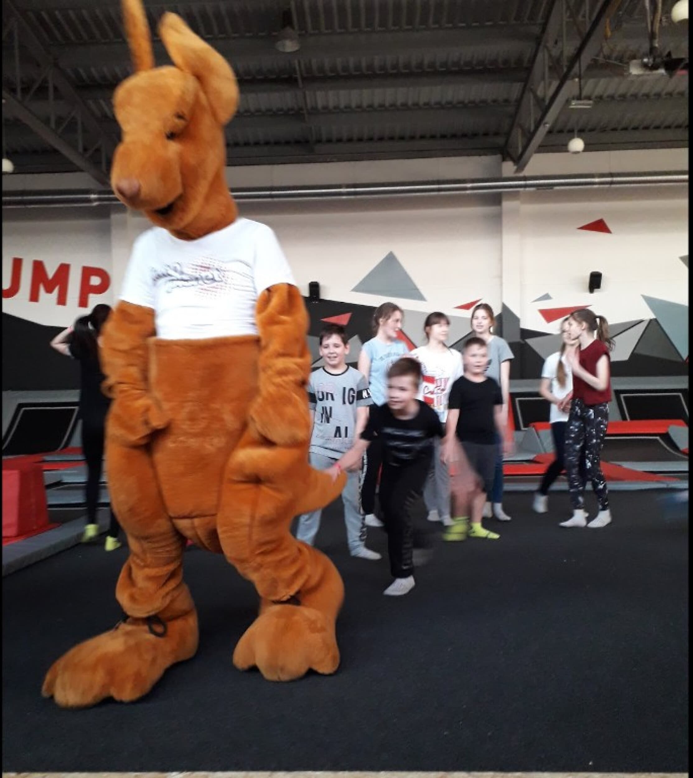 Rodzinna Przygoda w Parku Trampolin | Kalisz