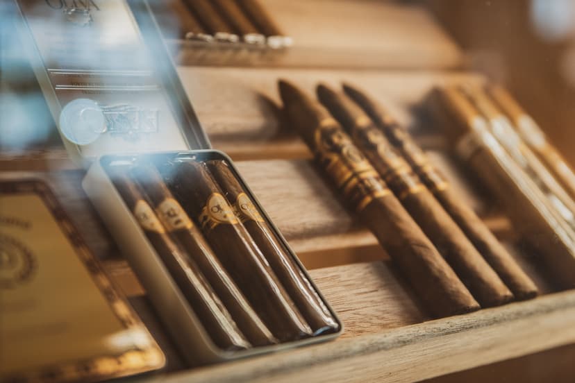 Degustacja Cygar Premium | Gdańsk
