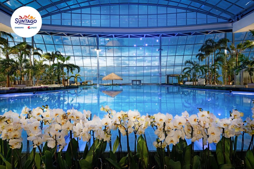 Całodniowe Tropikalne Wakacje pod Palmami w Suntago dla Dwojga | Mszczonów (okolice)