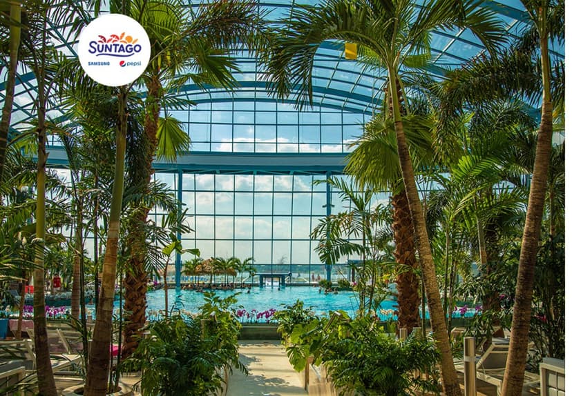 Całodniowe Tropikalne Wakacje pod Palmami w Suntago dla Rodziny | Mszczonów (okolice)
