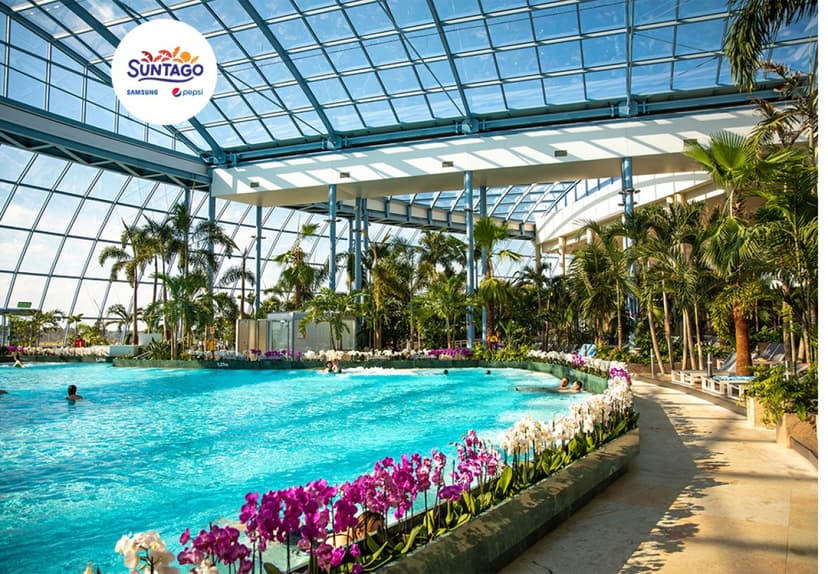 Całodniowe Tropikalne Wakacje pod Palmami w Suntago dla Przyjaciół | Mszczonów (okolice)