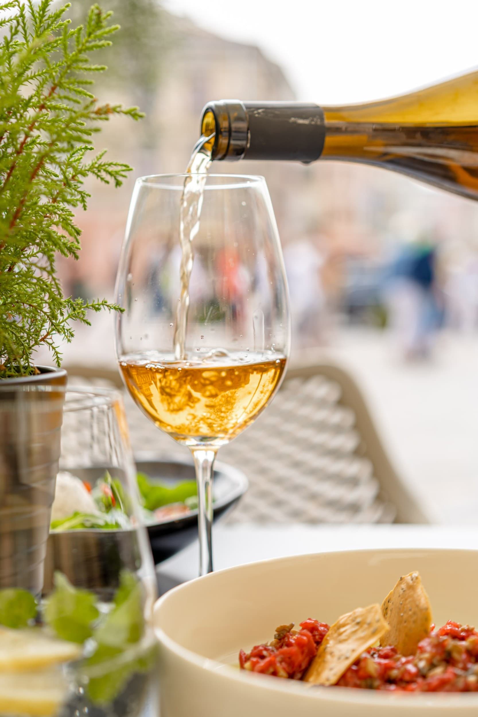 Autorska Kolacja Degustacyjna z Winem dla Dwojga | Lublin