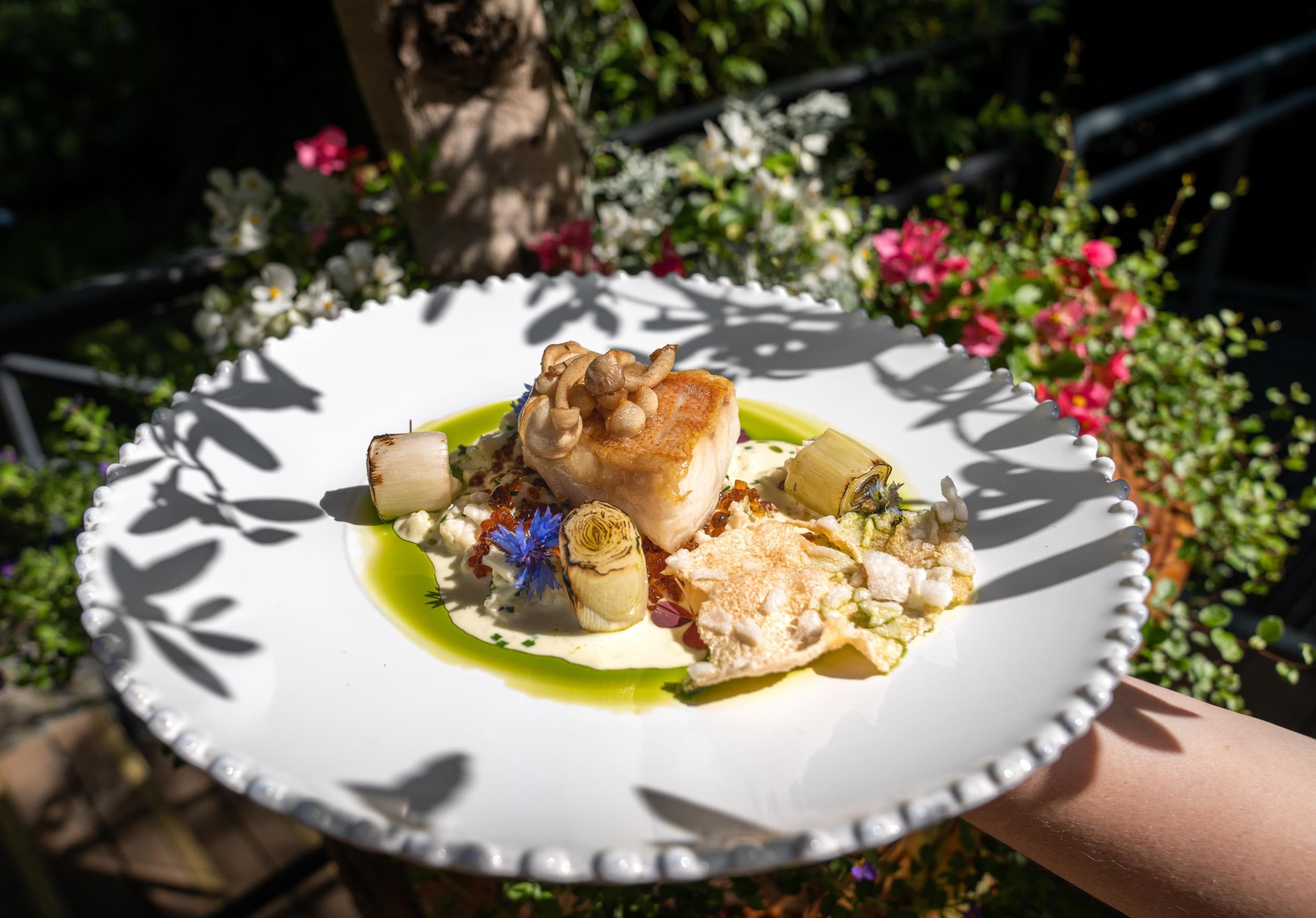 Ekskluzywna Kolacja Degustacyjna dla Dwojga | Sopot