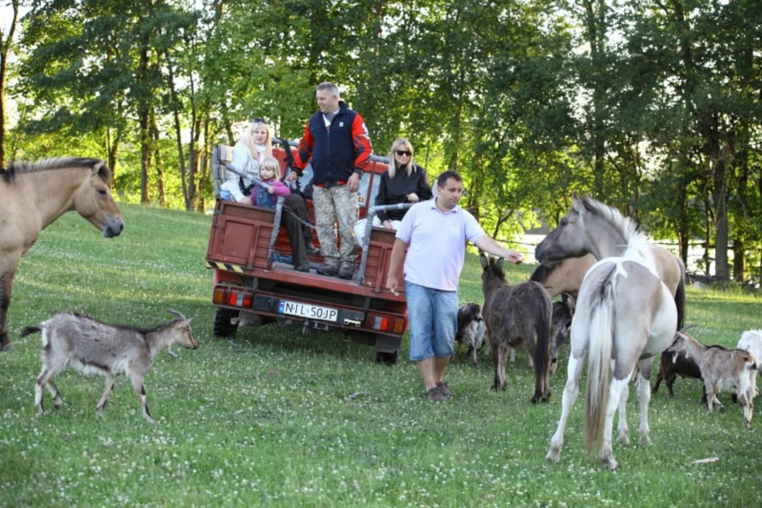 Samochodowe Safari dla Dwojga | Wydminy | Wyjątkowy Prezent