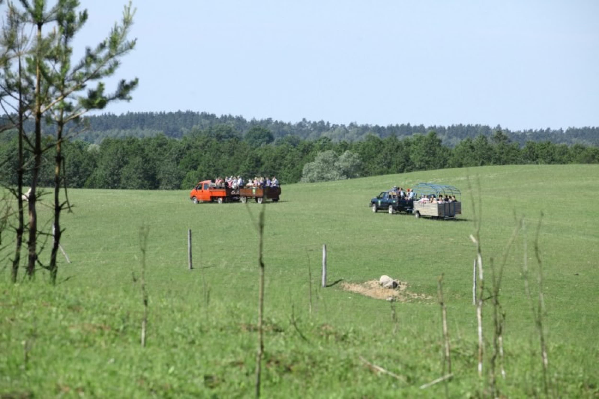 Samochodowe Safari dla Dwojga | Wydminy | Wyjątkowy Prezent