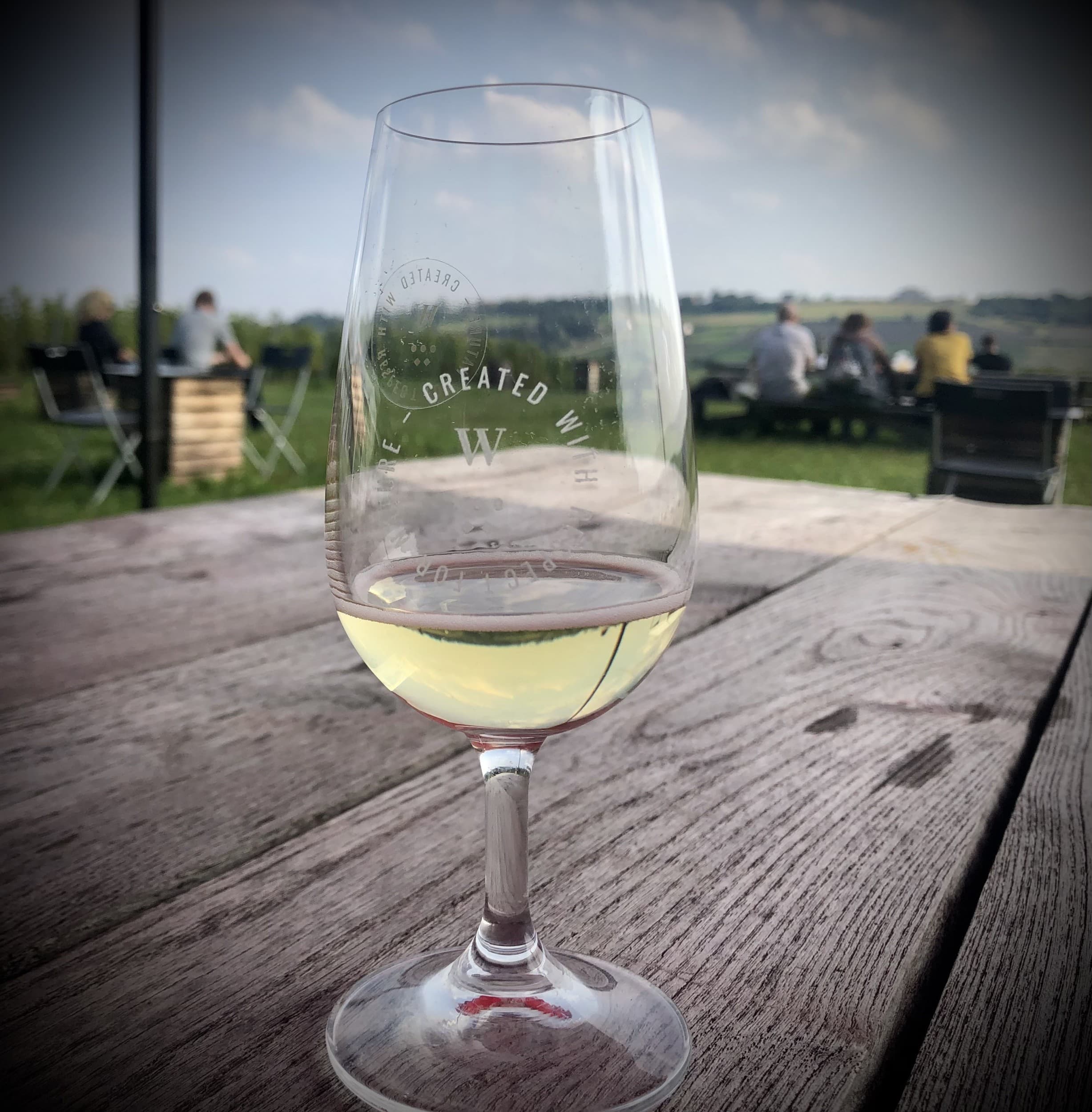 Zwiedzanie Winnicy z Degustacją dla Przyjaciół | Pawlikowice