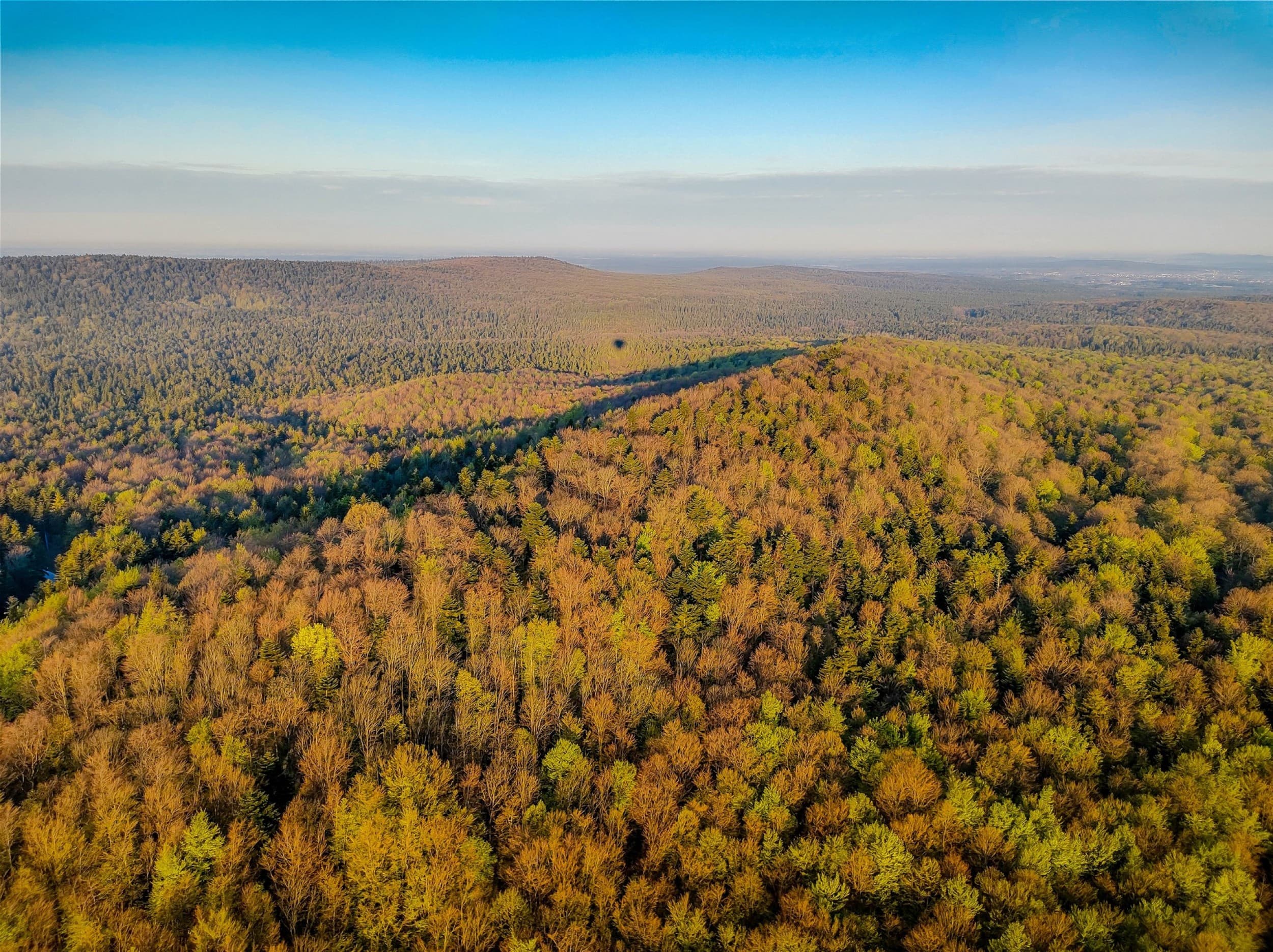 Lot Balonem dla Dwojga | Kielce (okolice) | Wyjątkowy Prezent