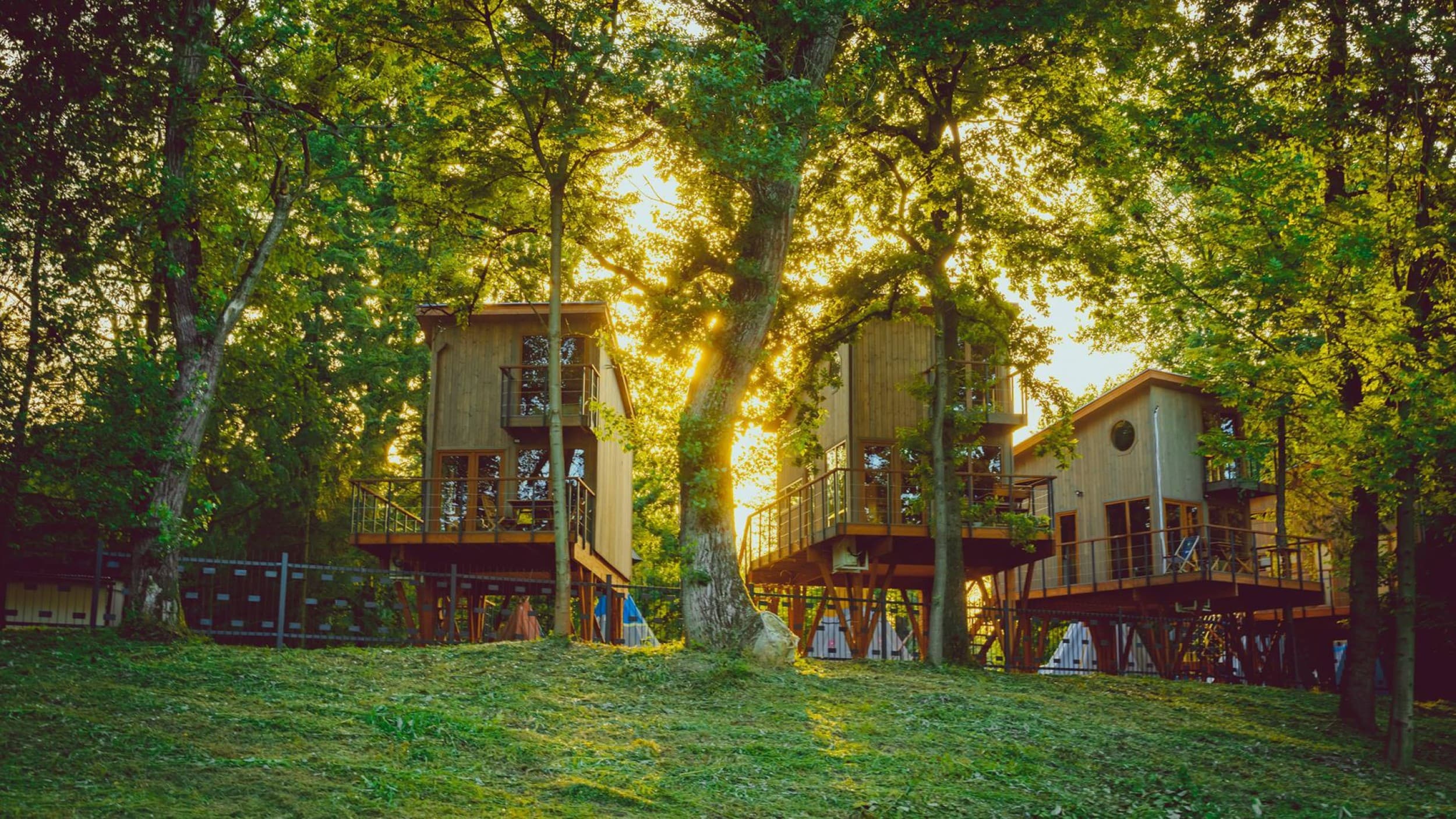 Pobyt w Domku na Drzewie (1 Noc, 1-4 osoby) | River Park | Zator | Wyjątkowy Prezent