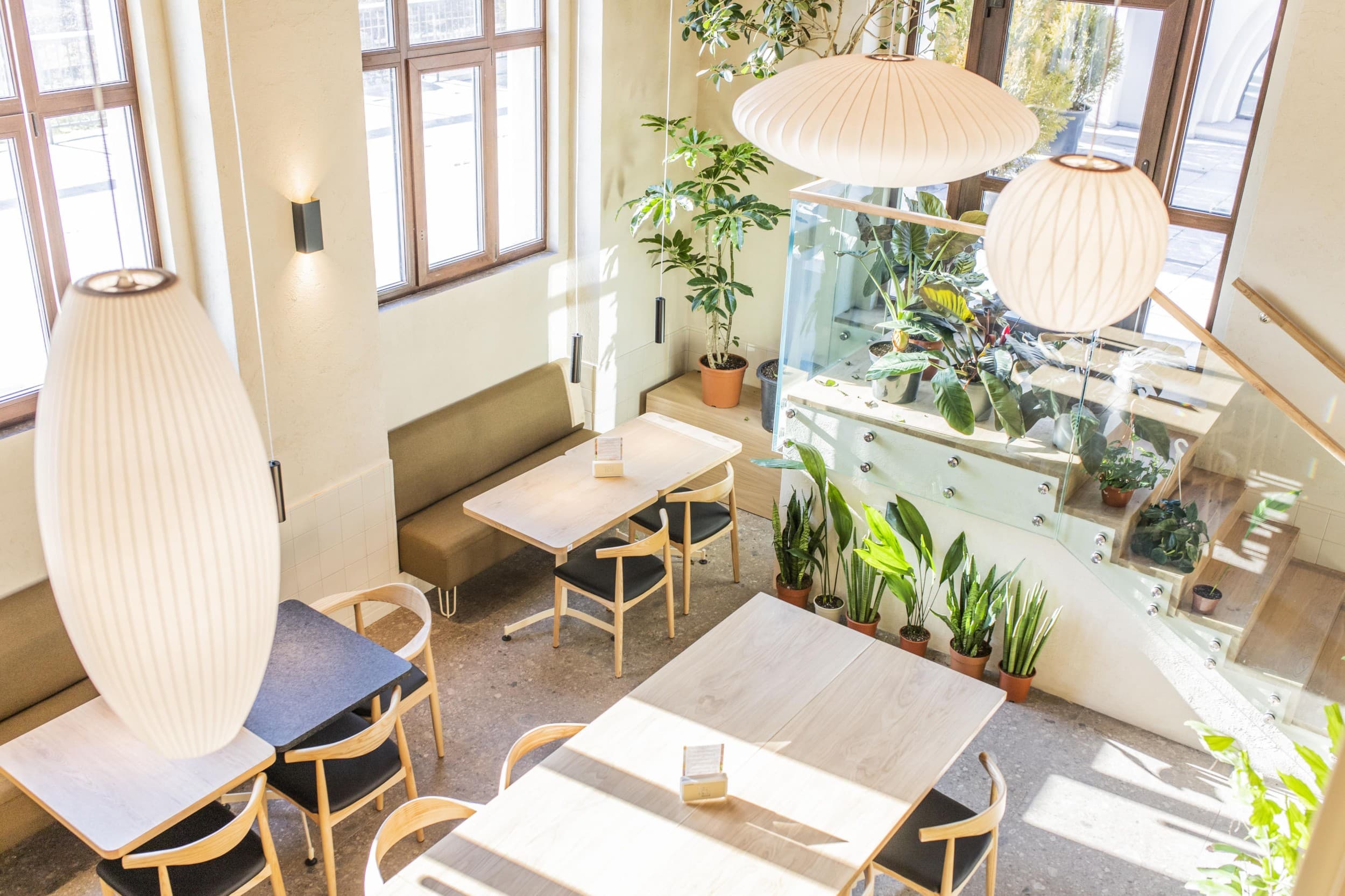 Tajska Autorska Kolacja | Katowice | Wyjątkowy Prezent