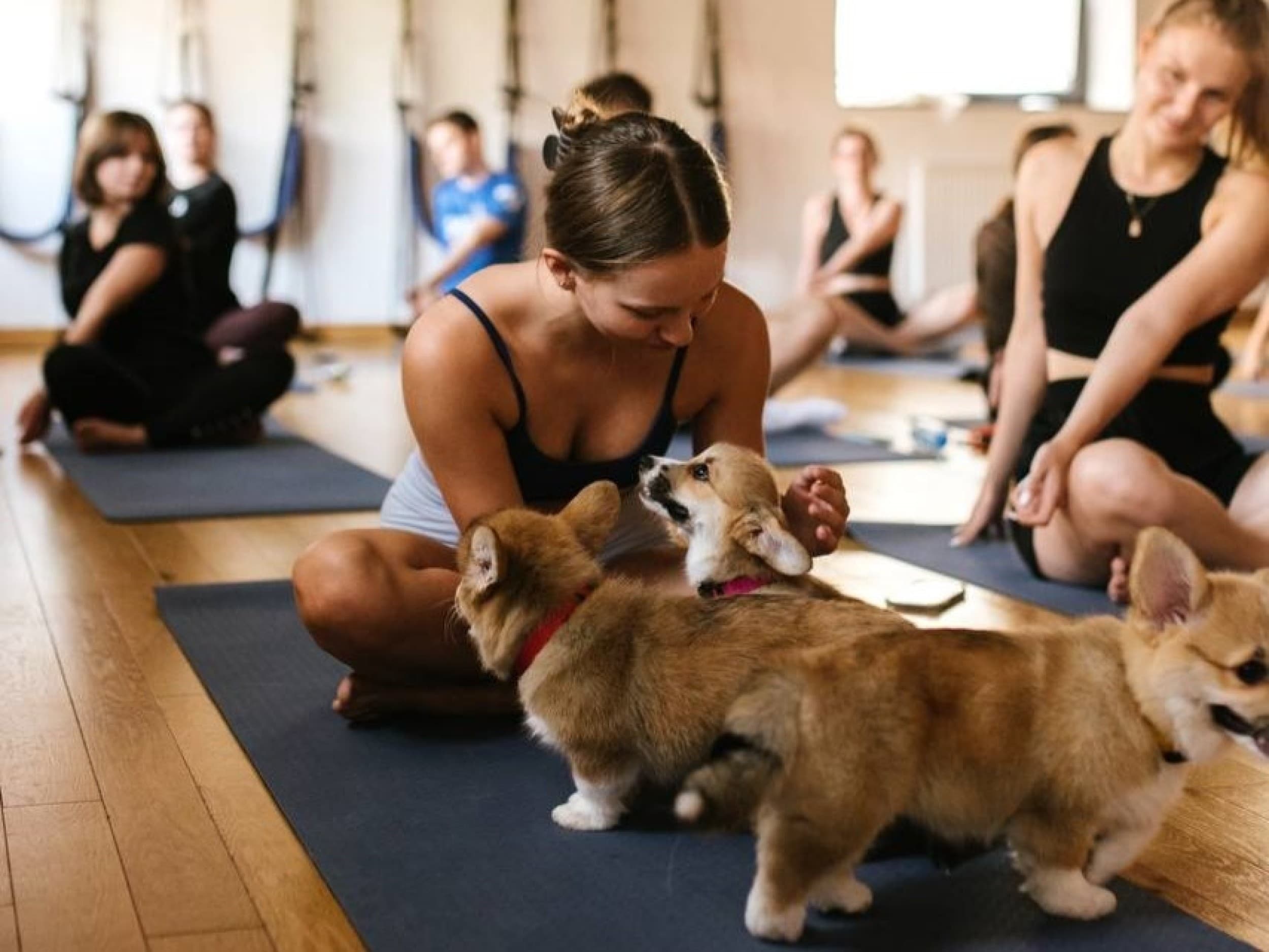 Puppy Joga dla Dwojga | Warszawa | Wyjątkowy Prezent
