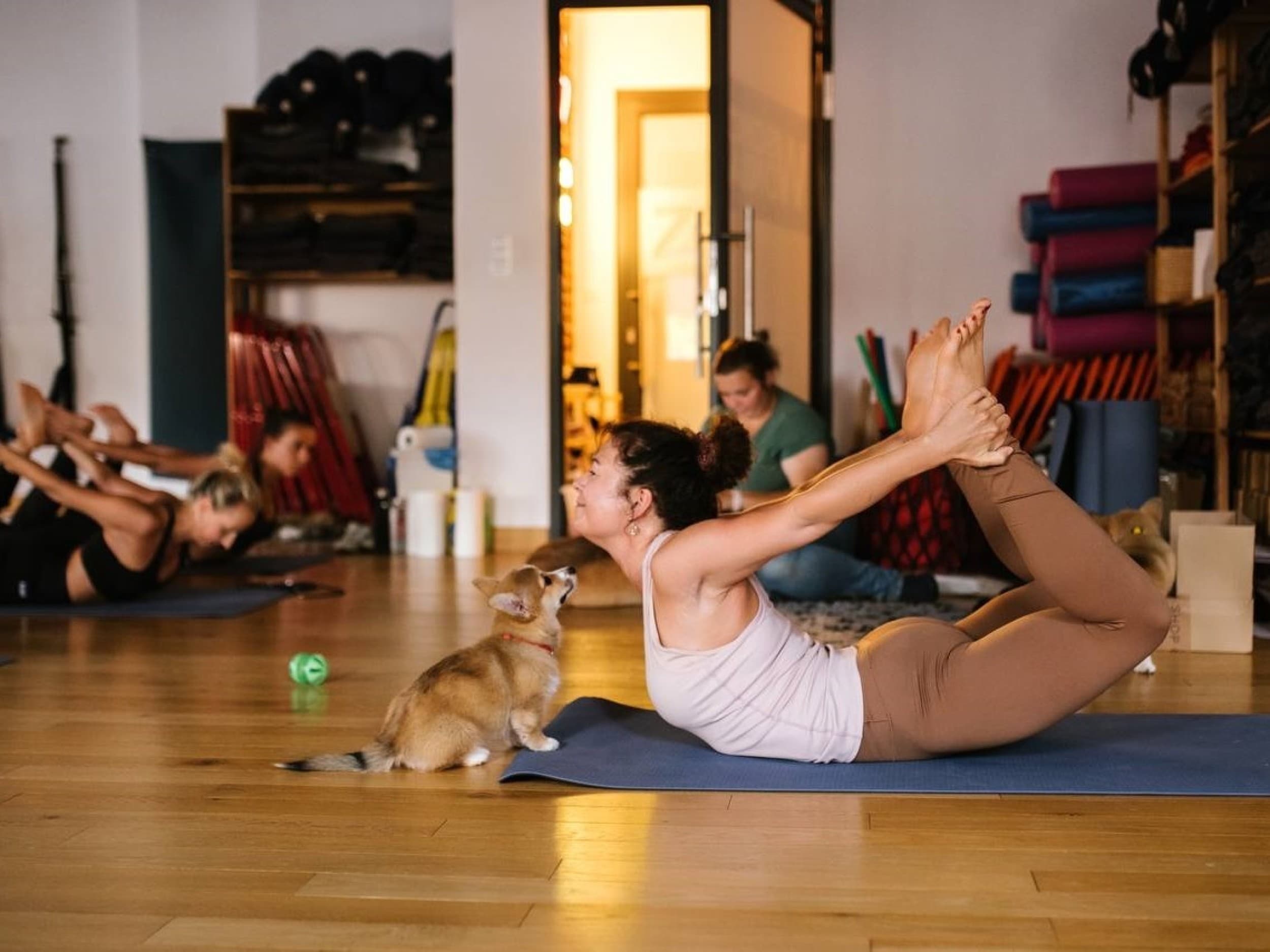 Puppy Joga dla Dwojga | Warszawa | Wyjątkowy Prezent