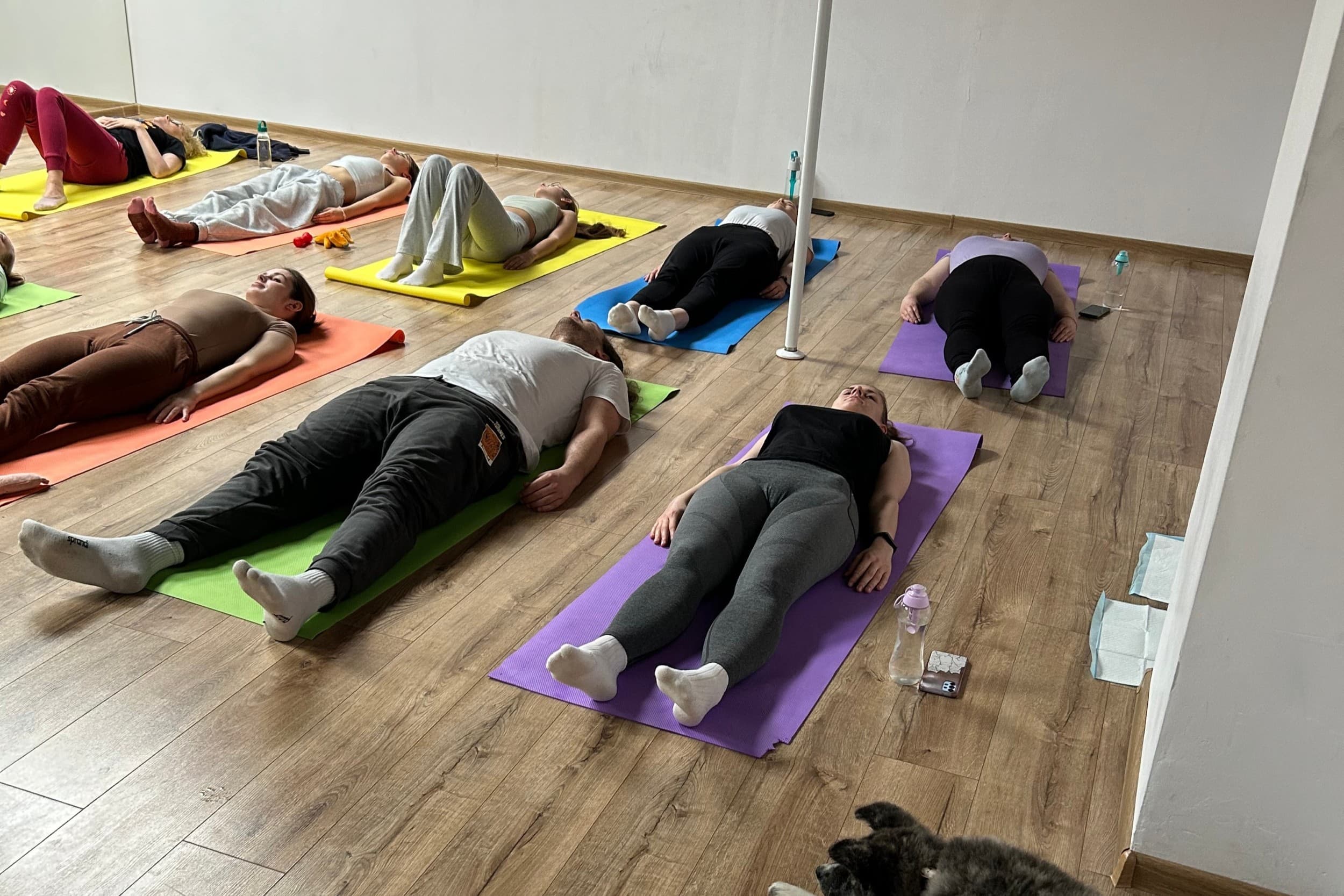 Puppy Joga | Wiele Lokalizacji