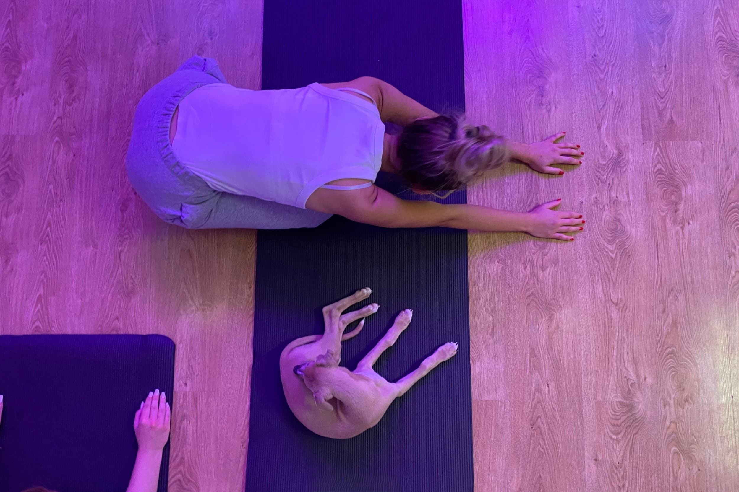Puppy Joga dla Dwojga | Wiele Lokalizacji | Wyjątkowy Prezent