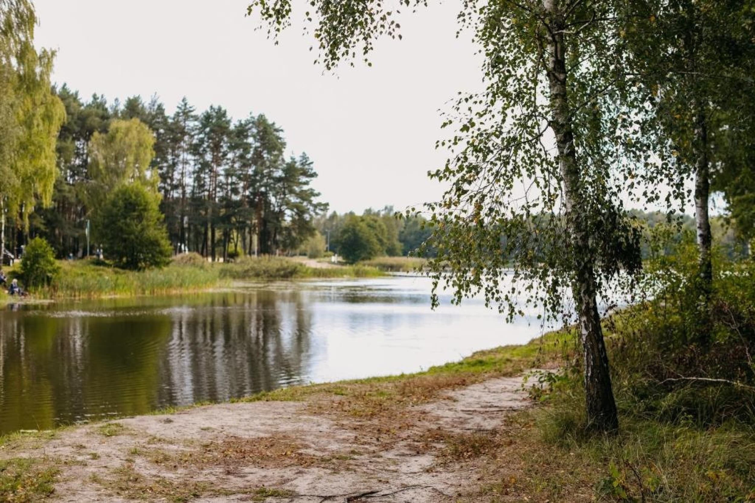 Pobyt w Domku (2 Noce, 1-4 Osoby) | Patyki Las Możliwości | Kolonia Łobudzice | Wyjątkowy Prezent