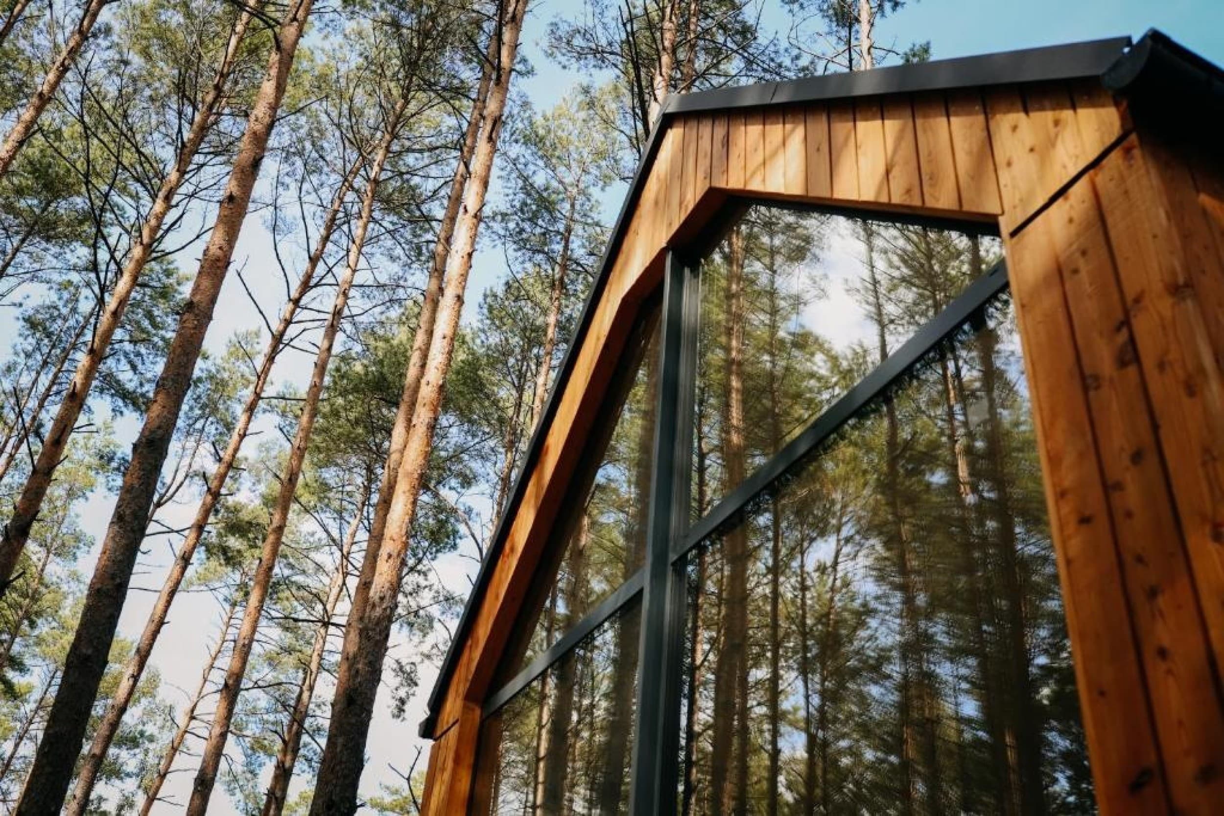 Pobyt w Domku (2 Noce, 1-4 Osoby) | Patyki Las Możliwości | Kolonia Łobudzice | Wyjątkowy Prezent