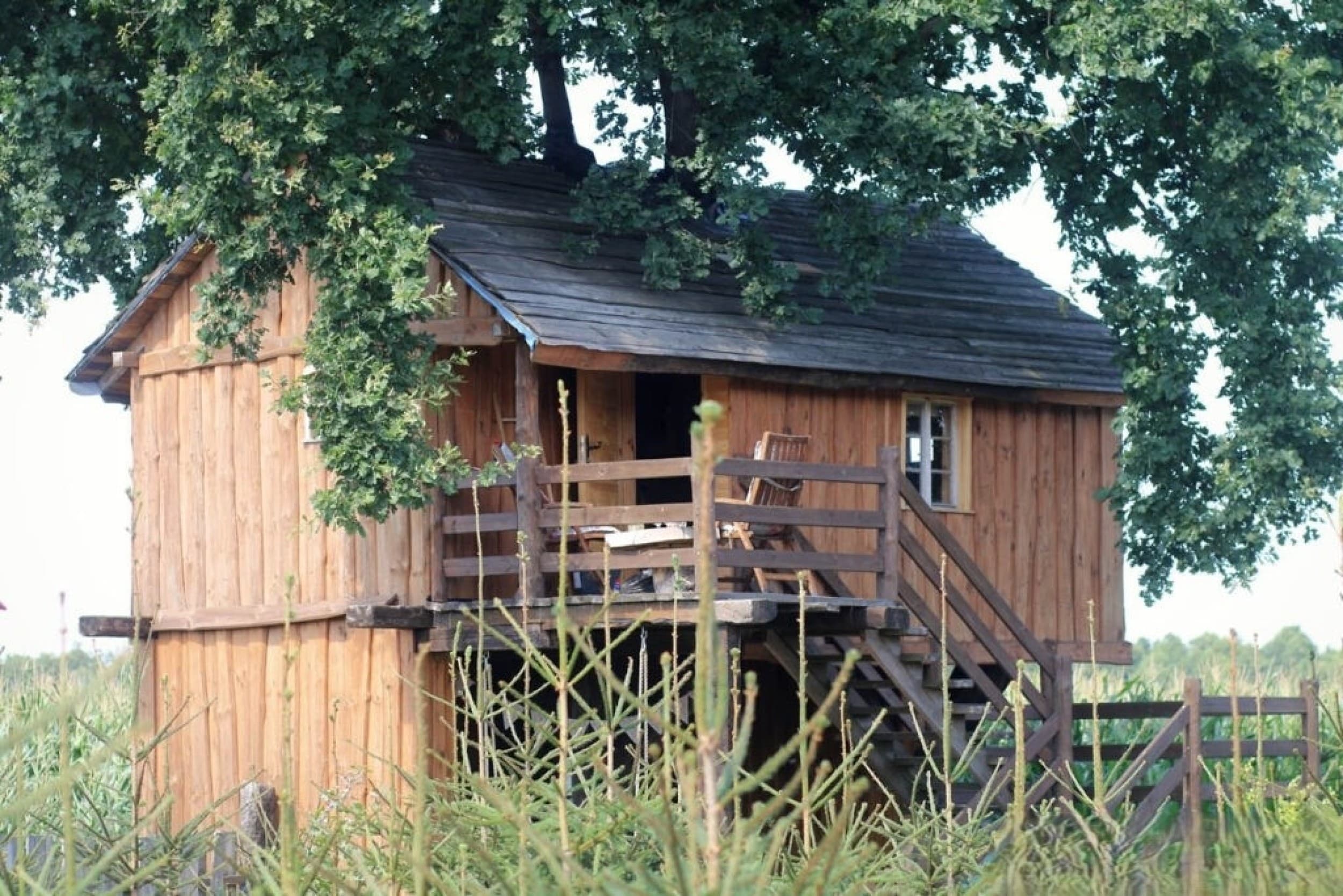 Pobyt w Domku na Drzewie (1 Noc, 2 Osoby) | Skansen Bicz Family & SPA | Bicz | Wyjątkowy Prezent