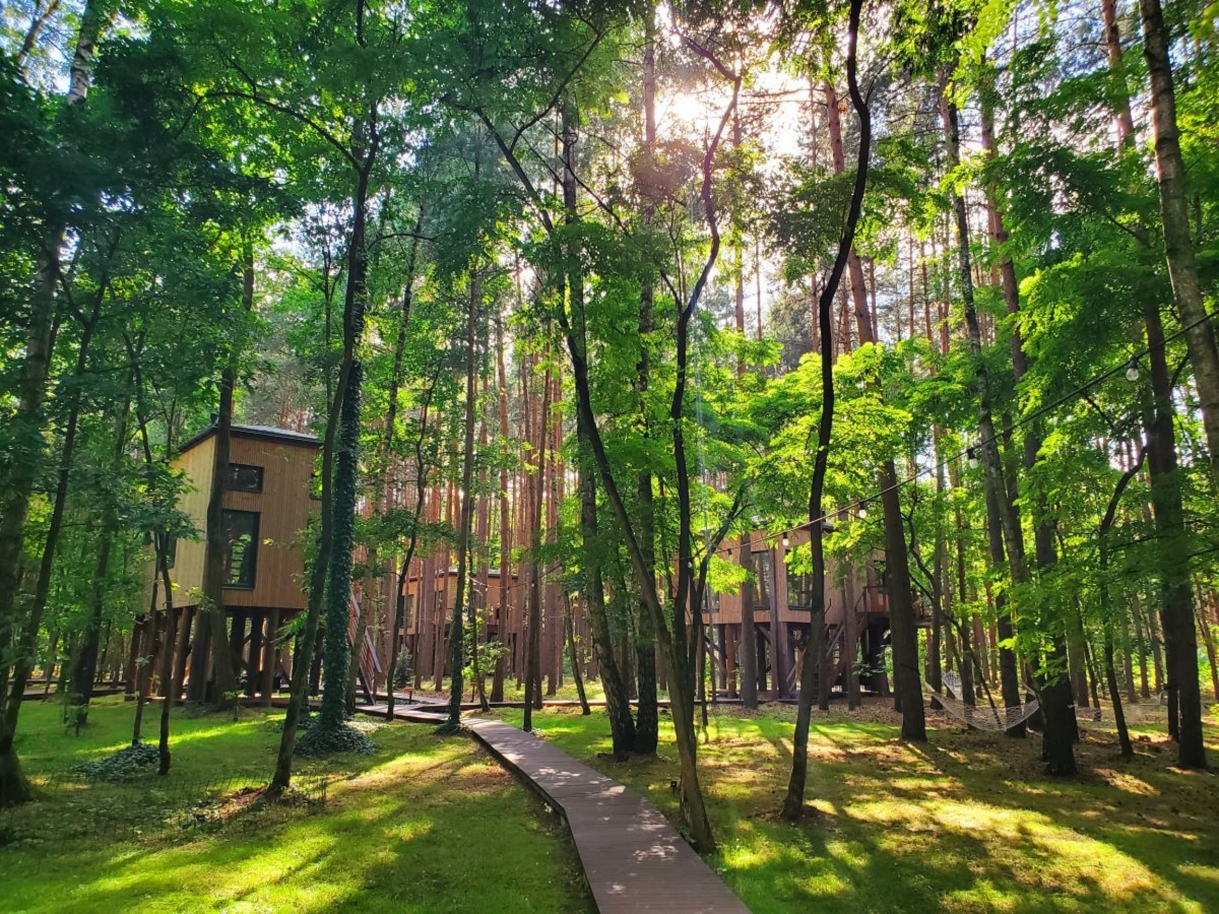 Pobyt w Domku na Drzewie w Tygodniu (2 Noce, 2 Osoby) | Tree Houses Olszanka | Olszanka | Wyjątkowy Prezent