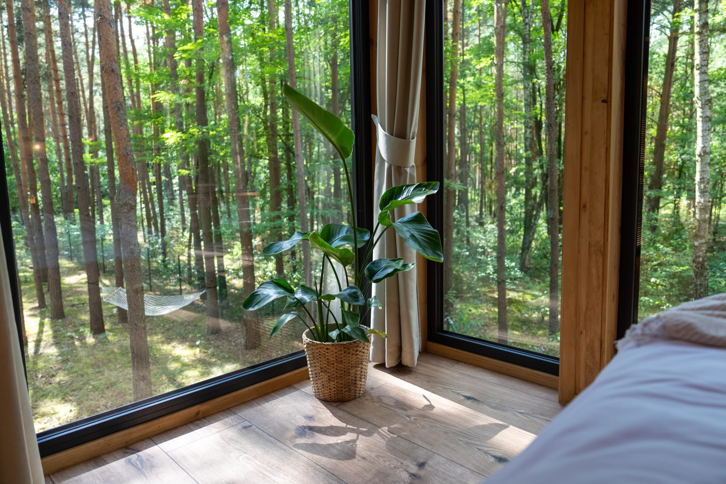 Pobyt w Domku na Drzewie w Tygodniu (2 Noce, 2 Osoby) | Tree Houses Olszanka | Olszanka | Wyjątkowy Prezent