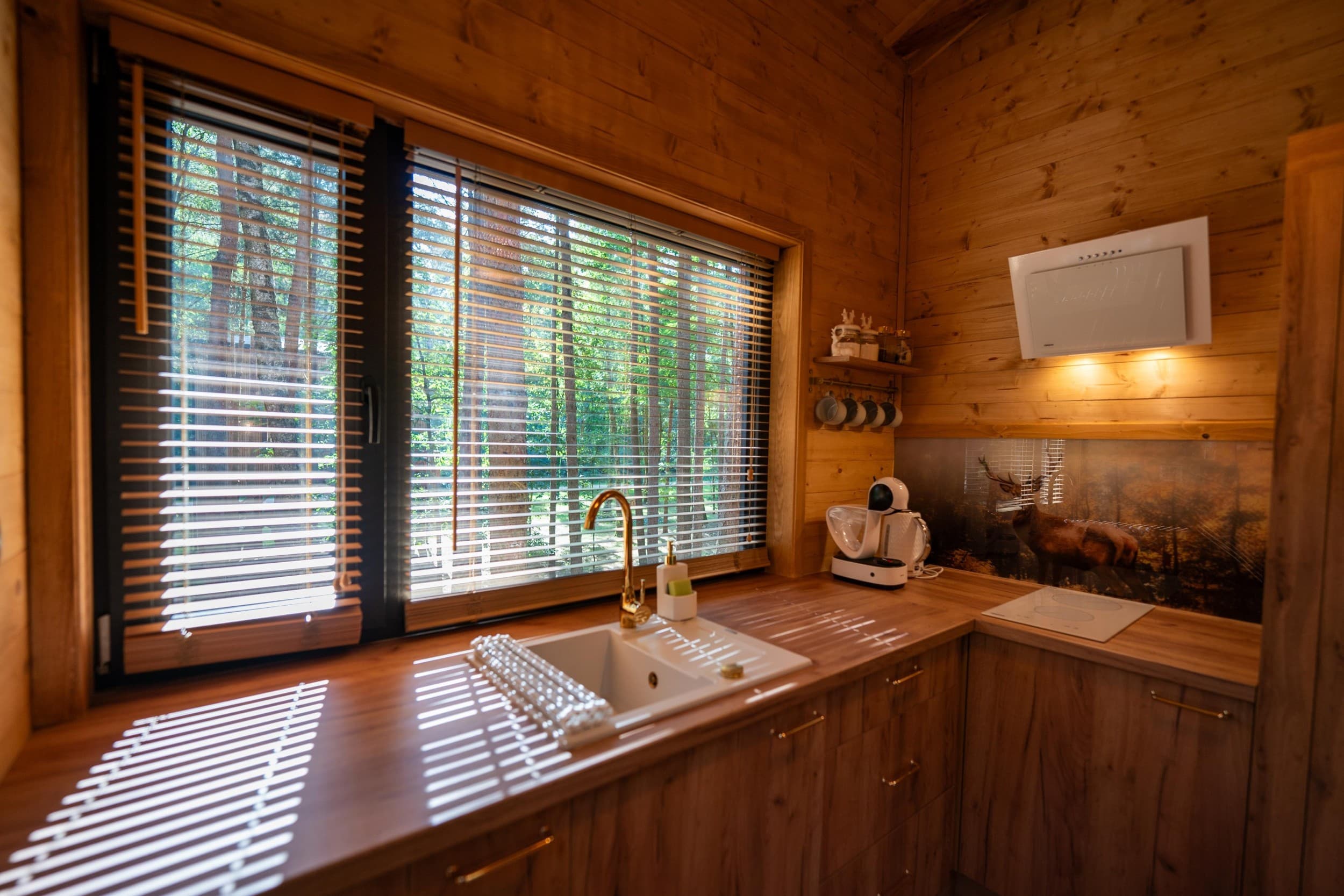 Romantyczny Pobyt w Domku na Drzewie w Tygodniu (2 Noce, 2 Osoby)  | Tree Houses Olszanka | Olszanka | Wyjątkowy Prezent
