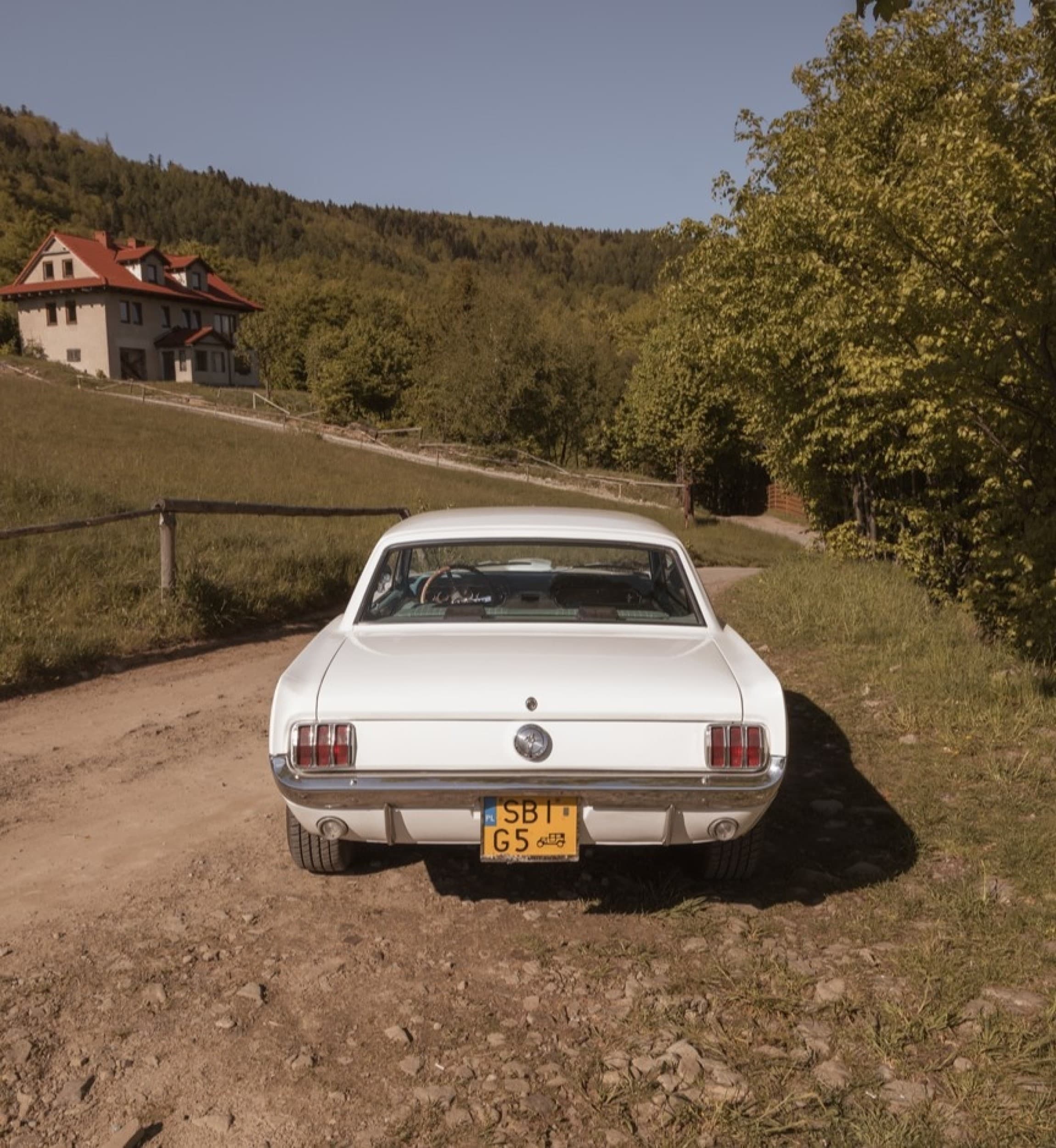 Co-Drive Mustangiem 1966 (30 minut) | Katowice