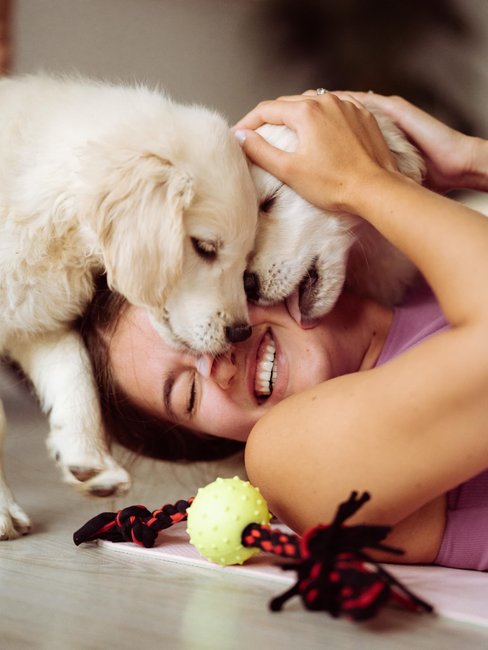 Zajęcia Fitness z Pieskami dla Dwojga (Puppy Joga lub Pilates) | Rzeszów