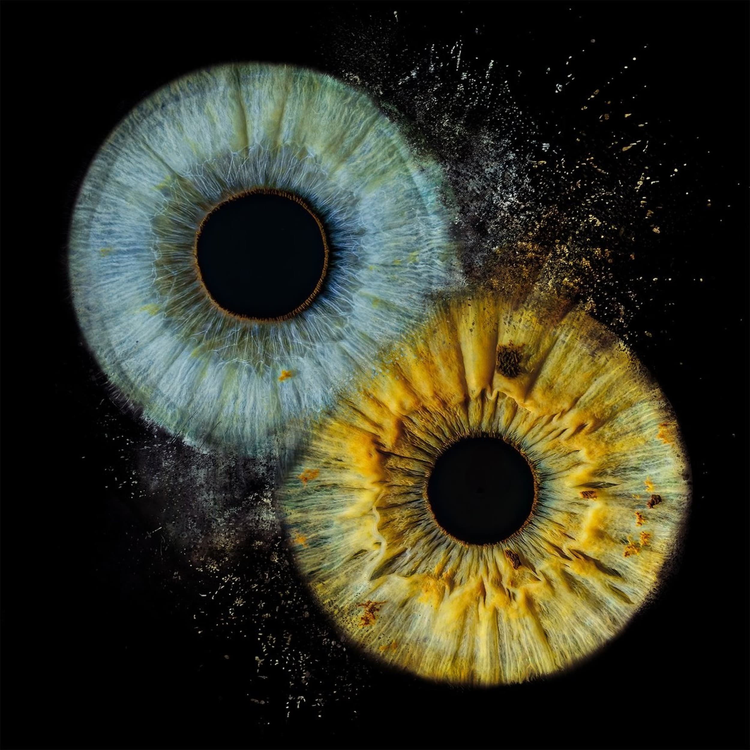 Artystyczne Zdjęcie Tęczówek Oczu dla Dwojga – Format A3 | Łódź
