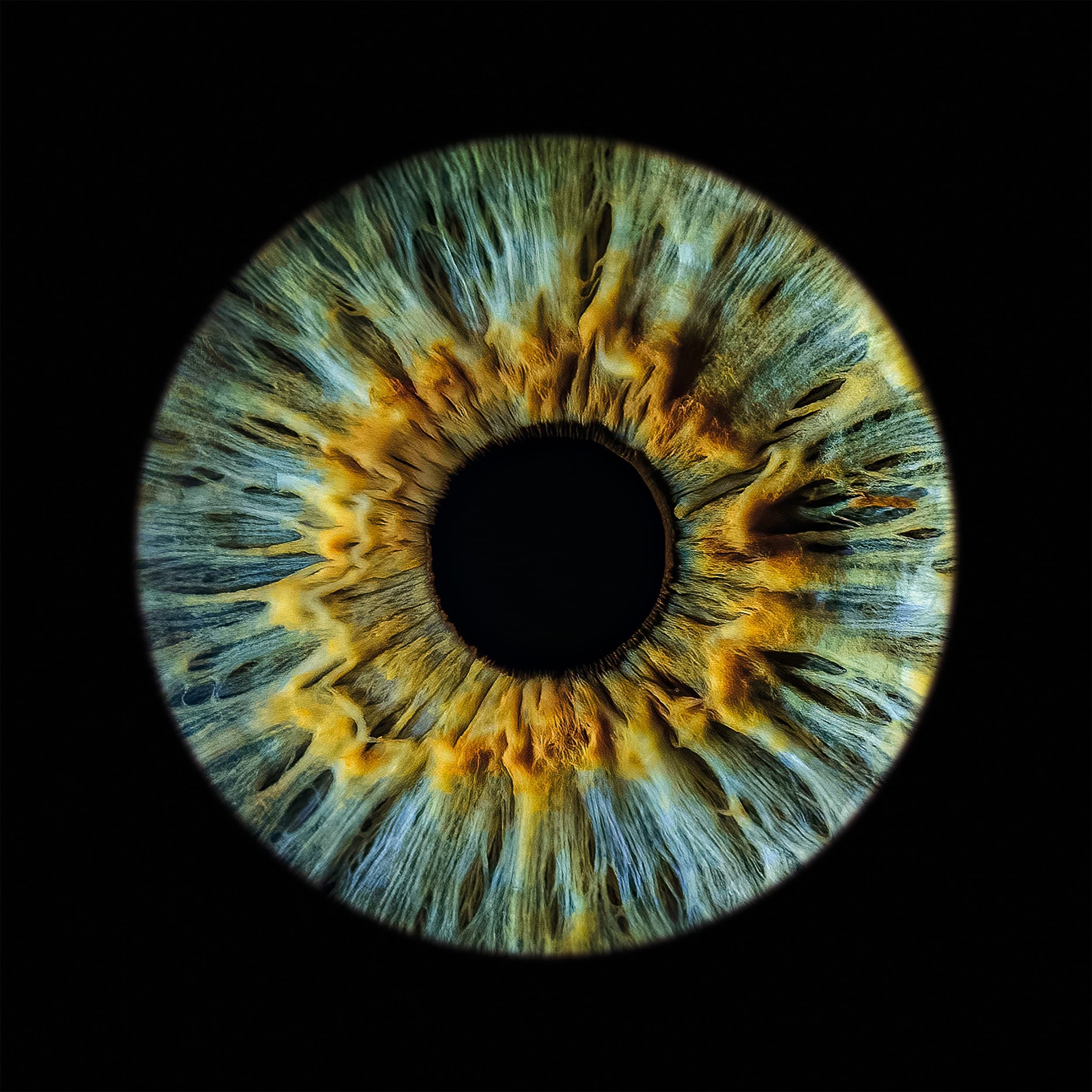 Artystyczne Zdjęcie Tęczówki Oka – Format 20x20 cm | Łódź