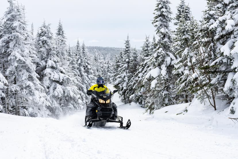 Jazda Skuterem Śnieżnym w Beskidach (3 godziny) | Czyrna