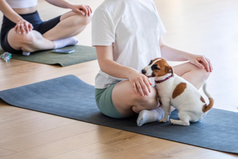 Puppy Joga dla Dwojga | Wrocław