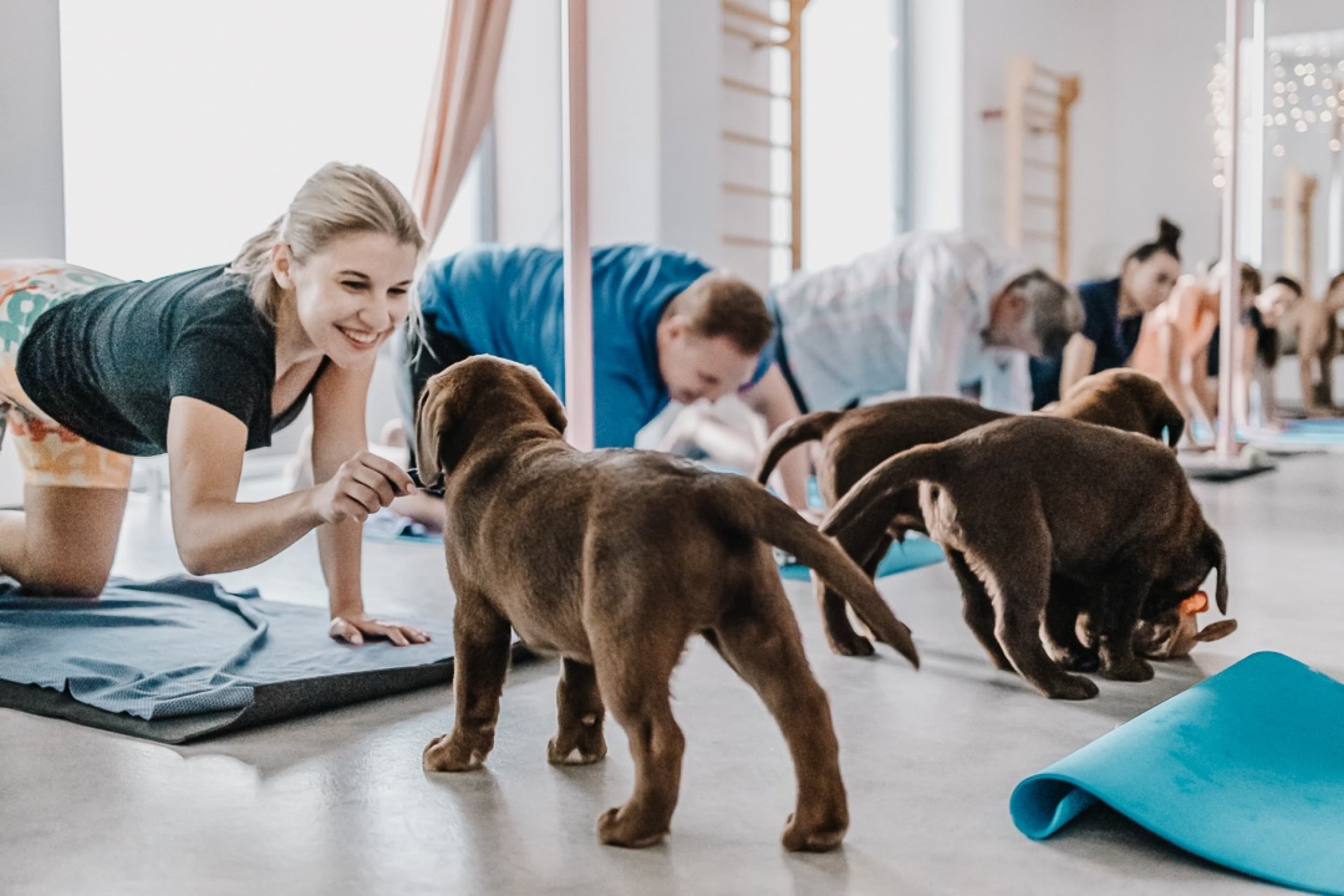 Puppy Joga dla Dwojga | Warszawa | Wyjątkowy Prezent