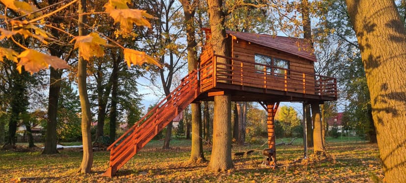 Pobyt w Domku na Drzewie (1 Noc, 2 Osoby) | TreeVill | Golędzinów