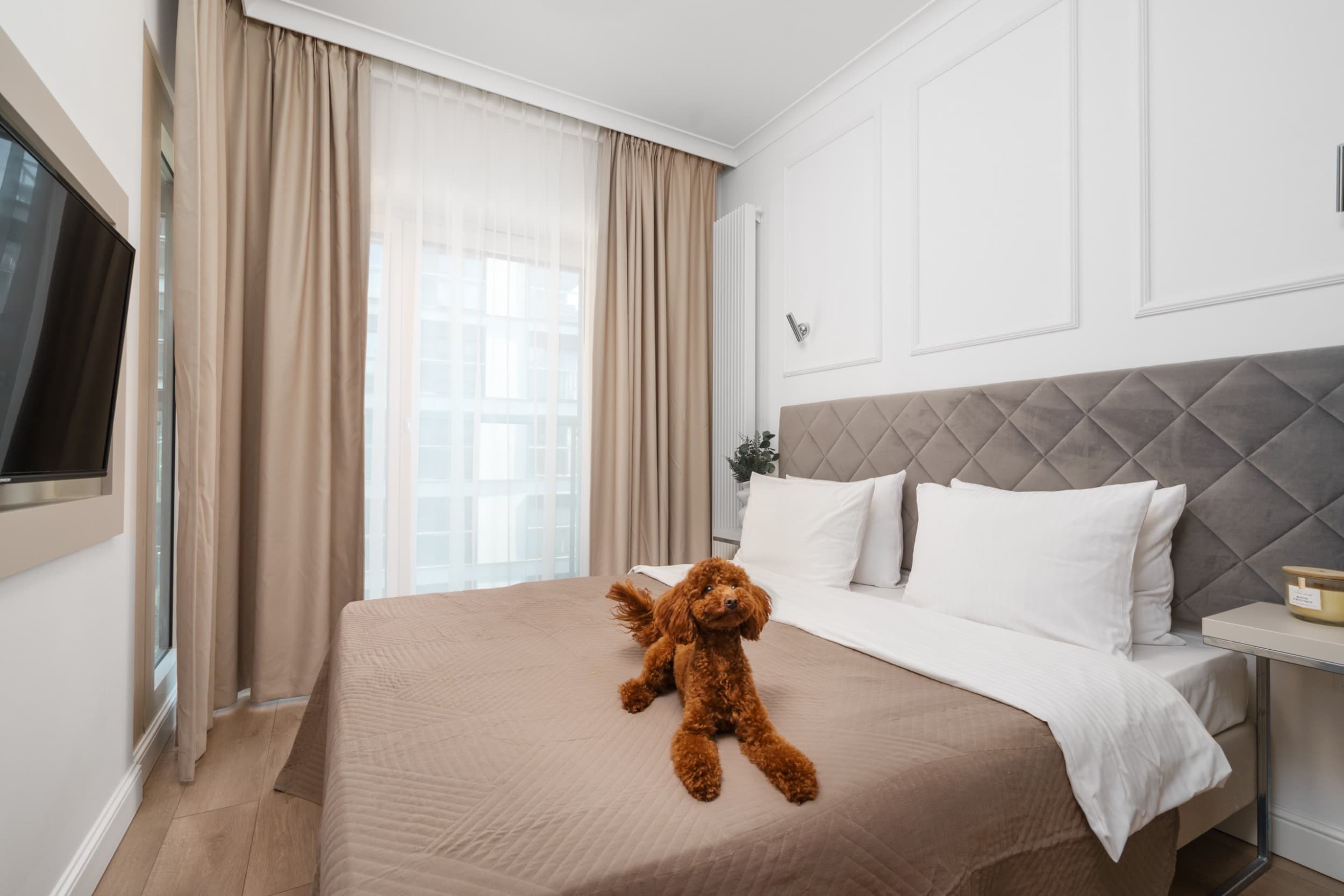 Rodzinny Pobyt w Apartamencie (2 Noce, 2-4 Osoby) | Golden Apartments | Warszawa