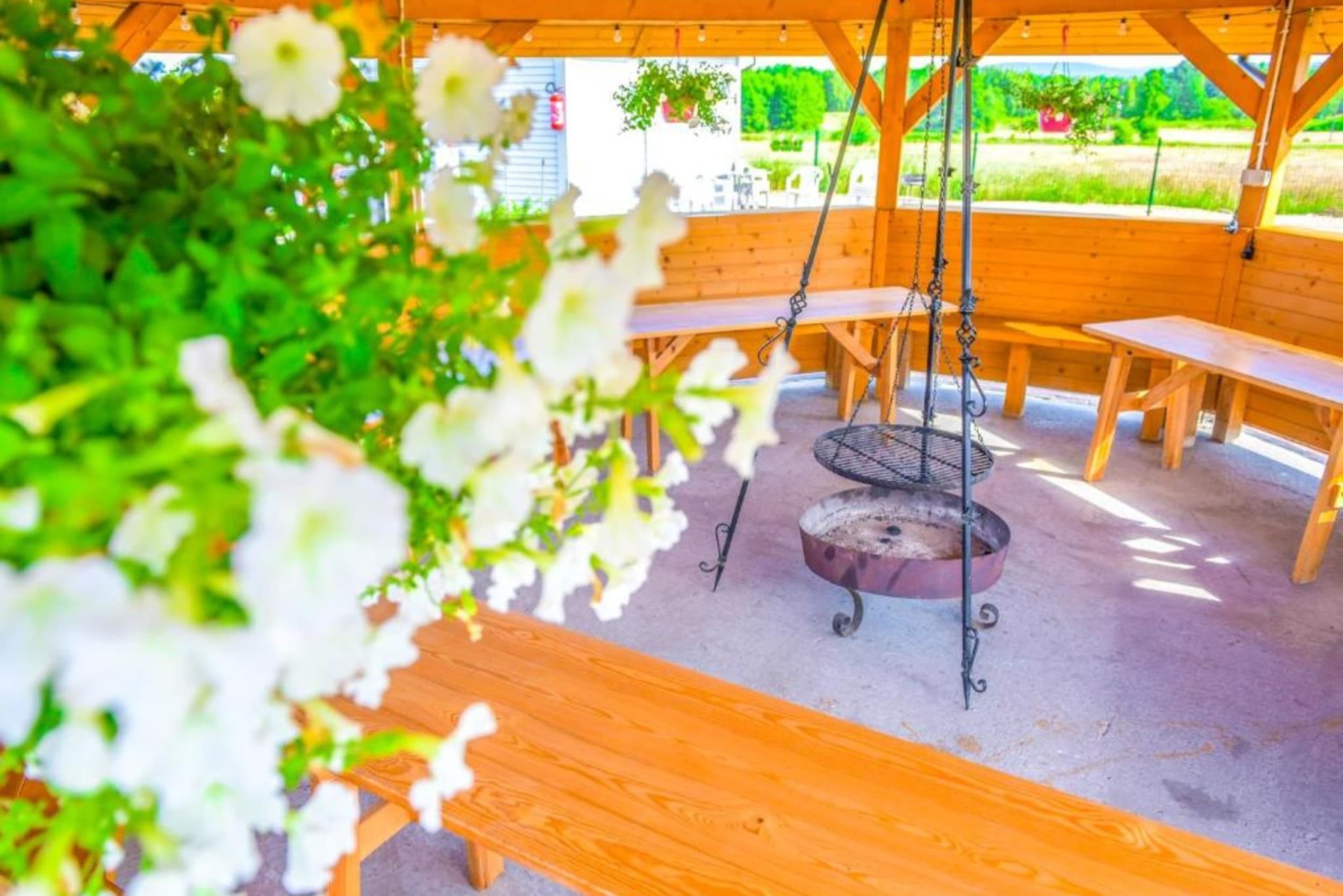 Romantyczny Glamping z Jacuzzi na Wyłączność (1 Noc, 2 Osoby) | Holiday Park Zator Resort & Spa | Zator