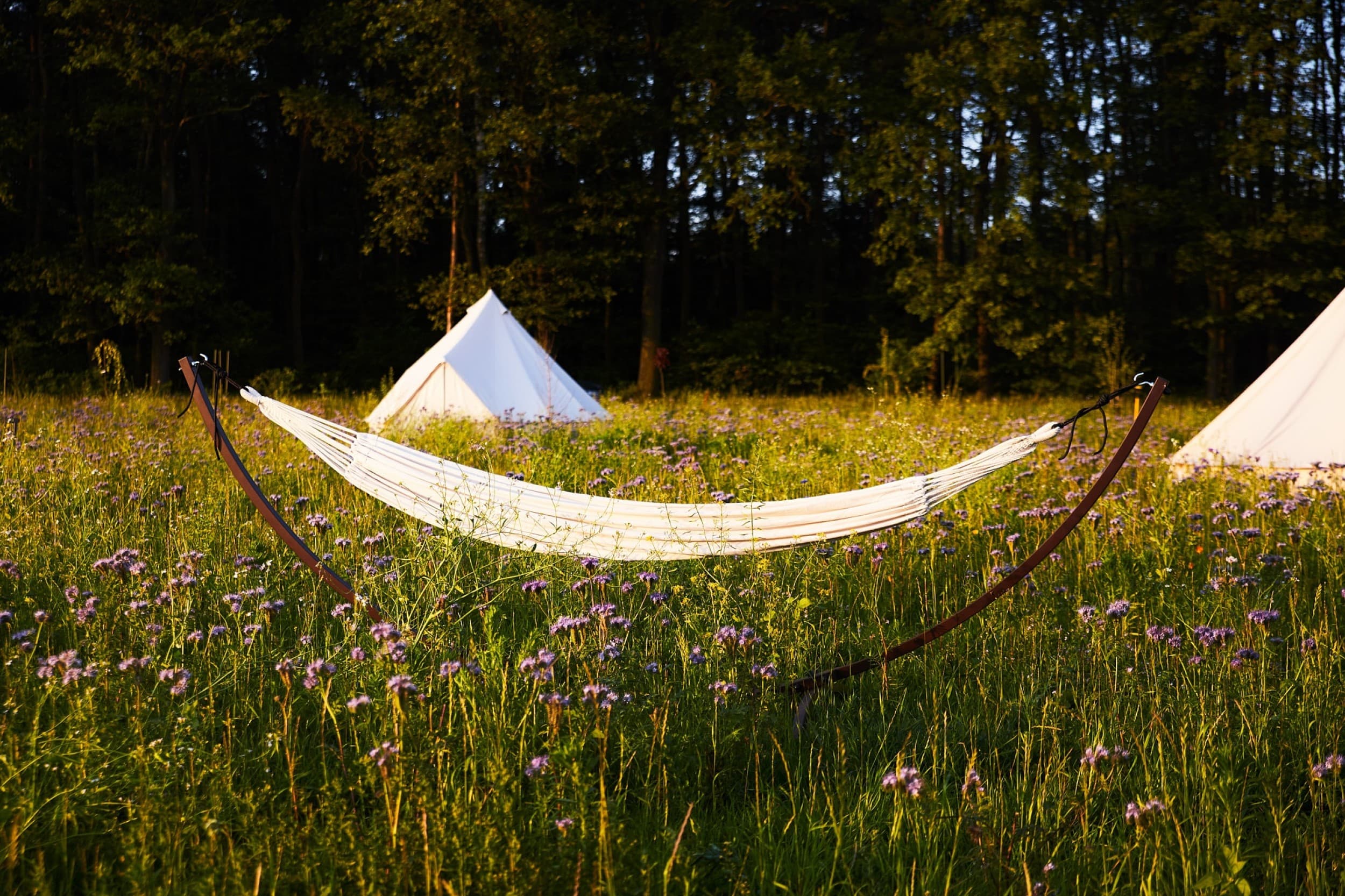 Wakacyjny Weekend w Namiocie (2 Noce, 2 Osoby) | bosco glamping | Modrzewek