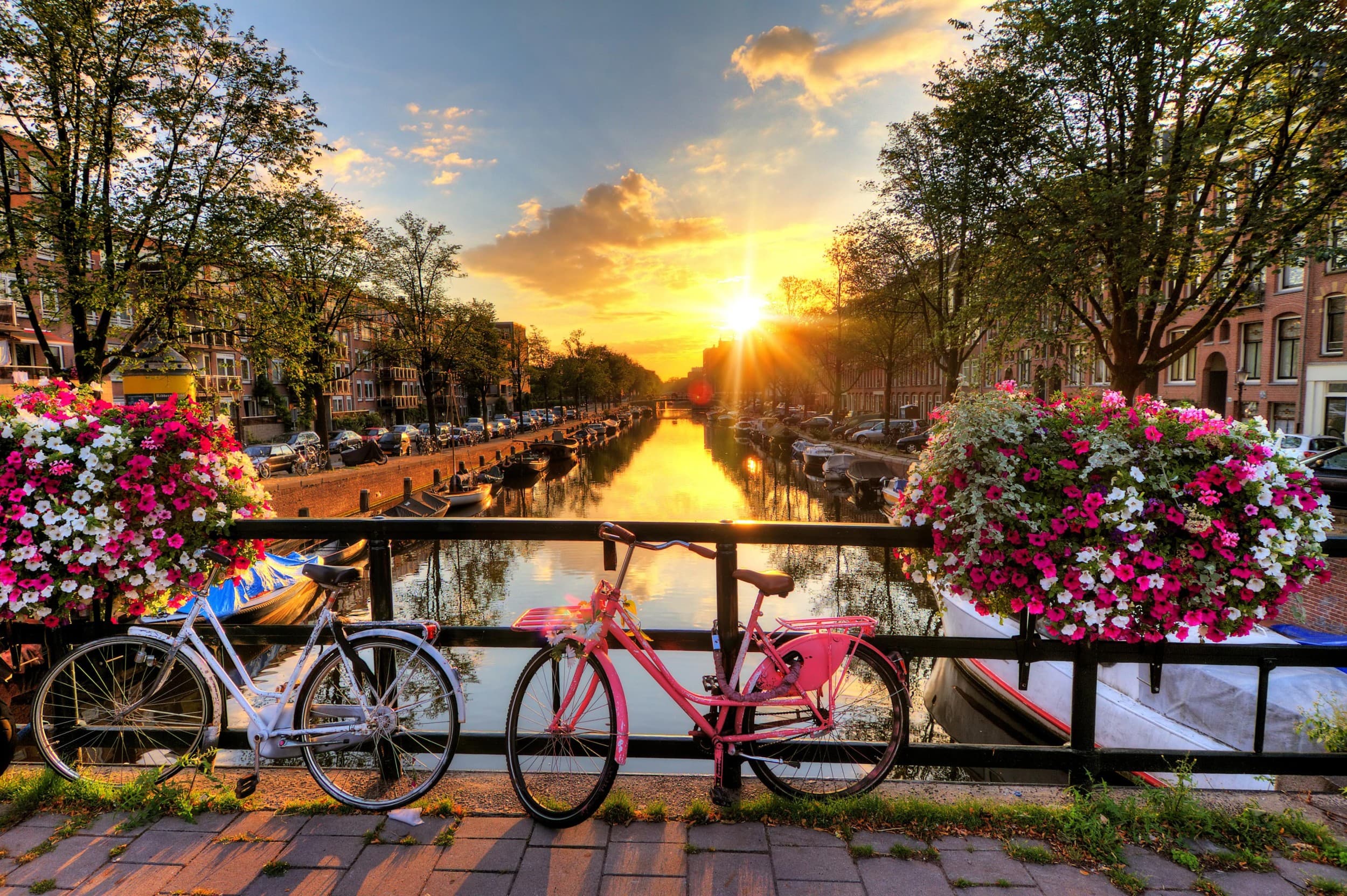 3-dniowy Pobyt "Zachwycający Amsterdam"