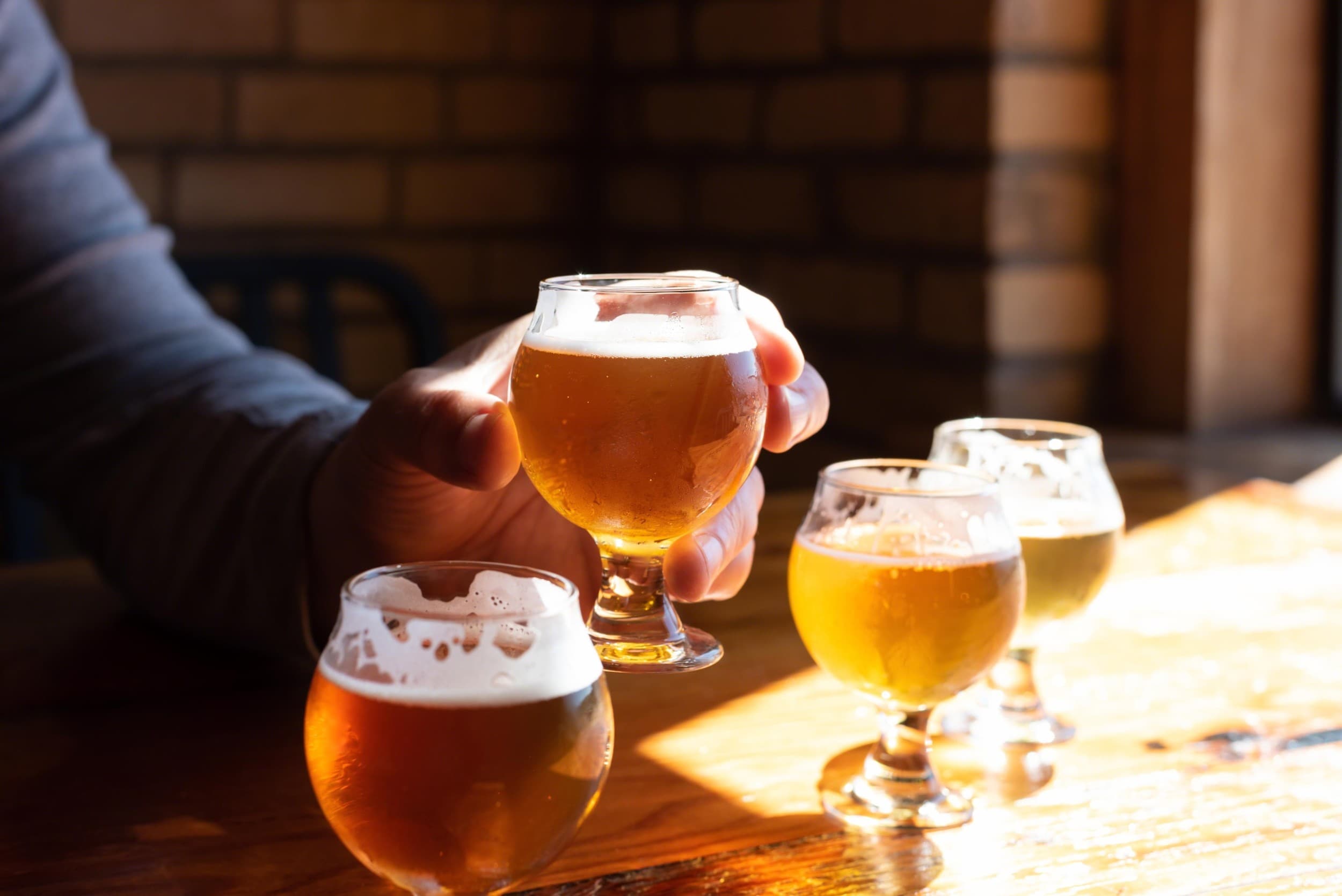 Degustacja Piwa | Poznań