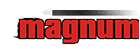 Strzelnica Magnum
