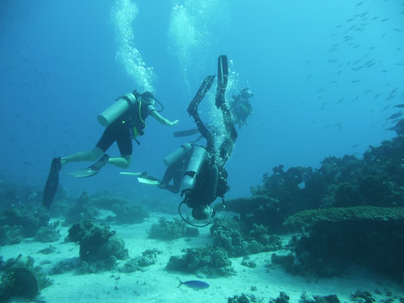 Kurs Nurkowy OWD | Lublin