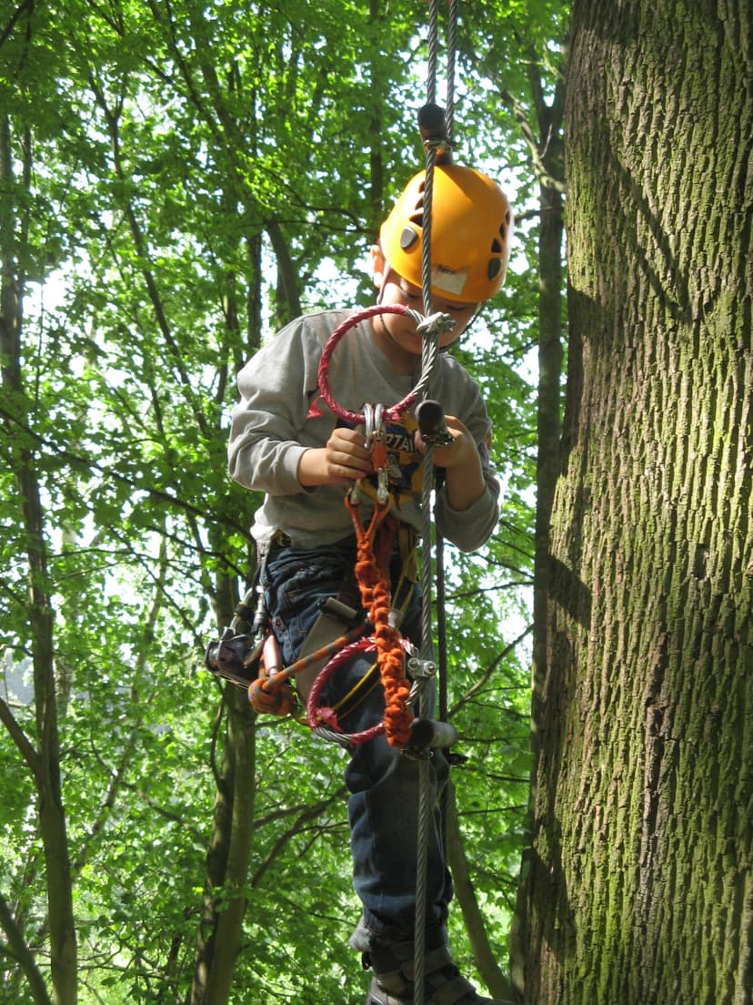 Zabawa dla Najmłodszych w Parku Linowym | Poznań