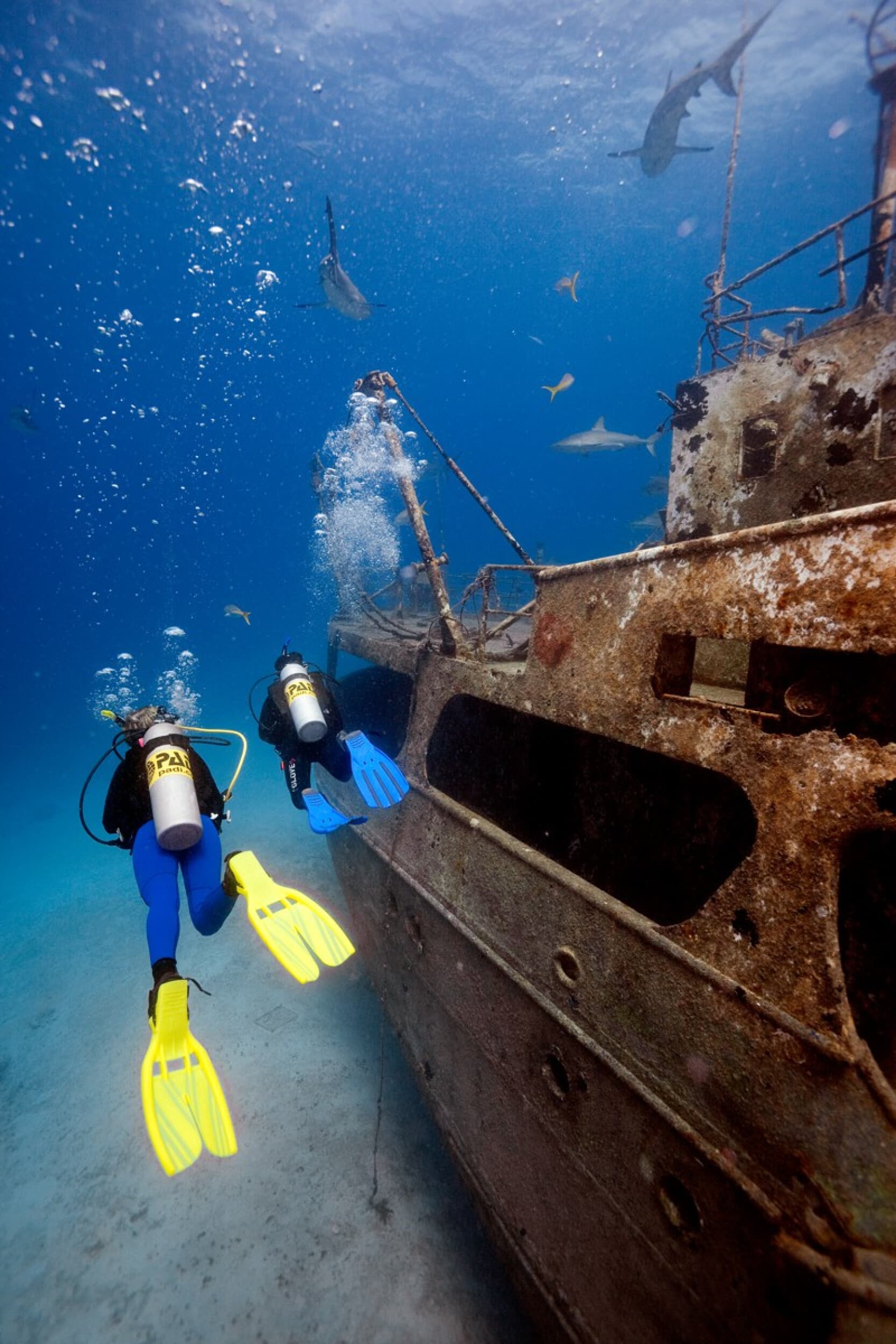 Kurs Nurkowania Open Water Diver | Warszawa