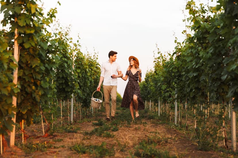 Zwiedzanie Winnicy z Degustacją i Winem dla Dwojga | Warszawa (okolice)