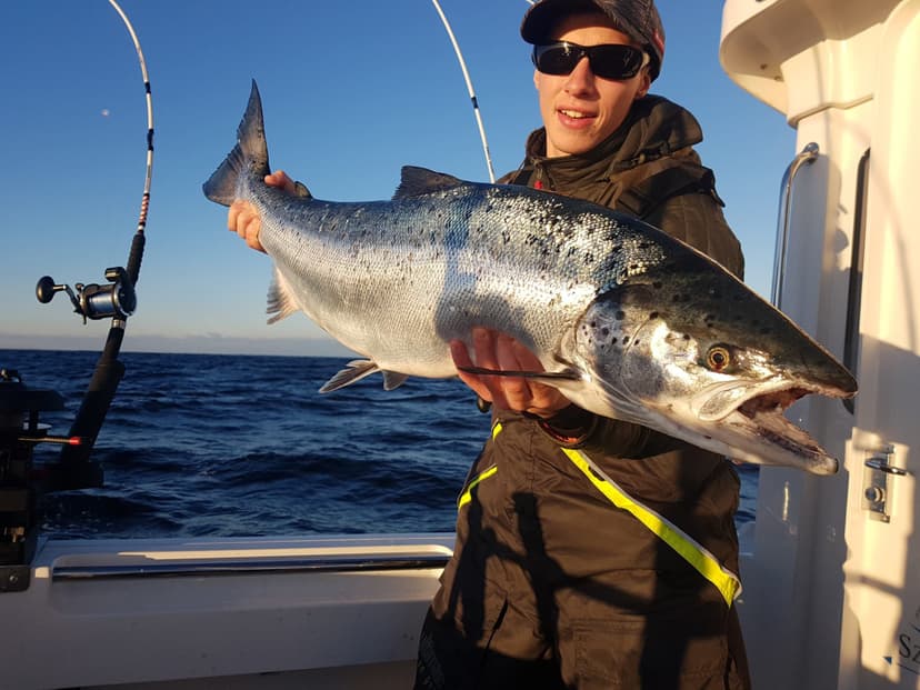 Wyprawa Wędkarska na Łososie dla Przyjaciół | Hel